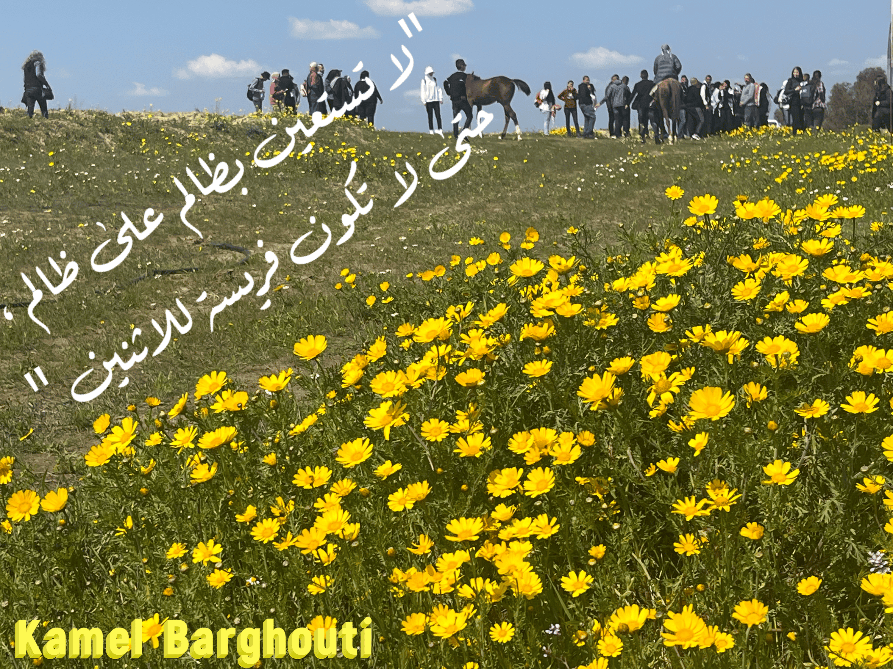 قيم إنسانية – اقتباس 333