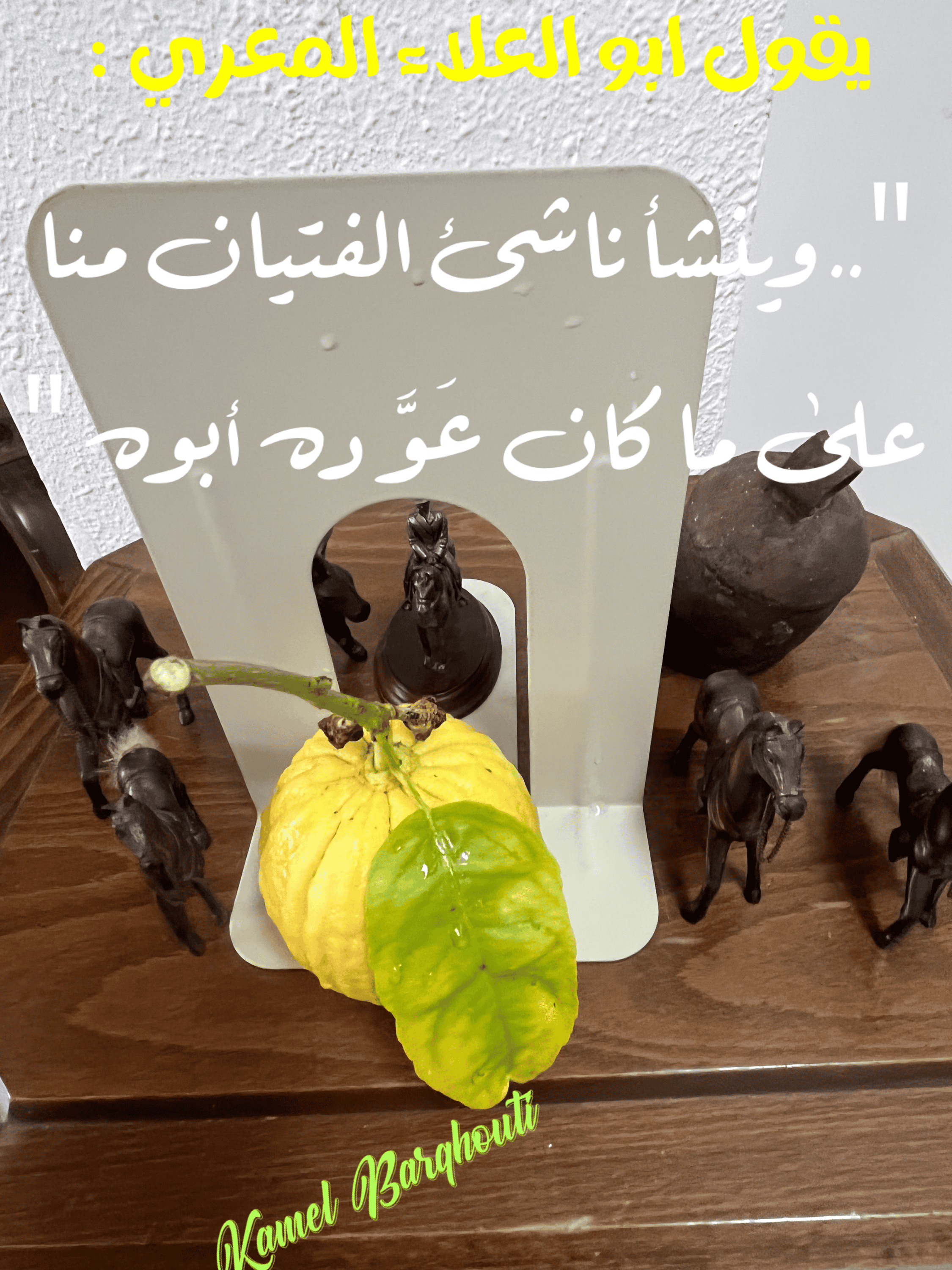 قيم إنسانية – اقتباس 310