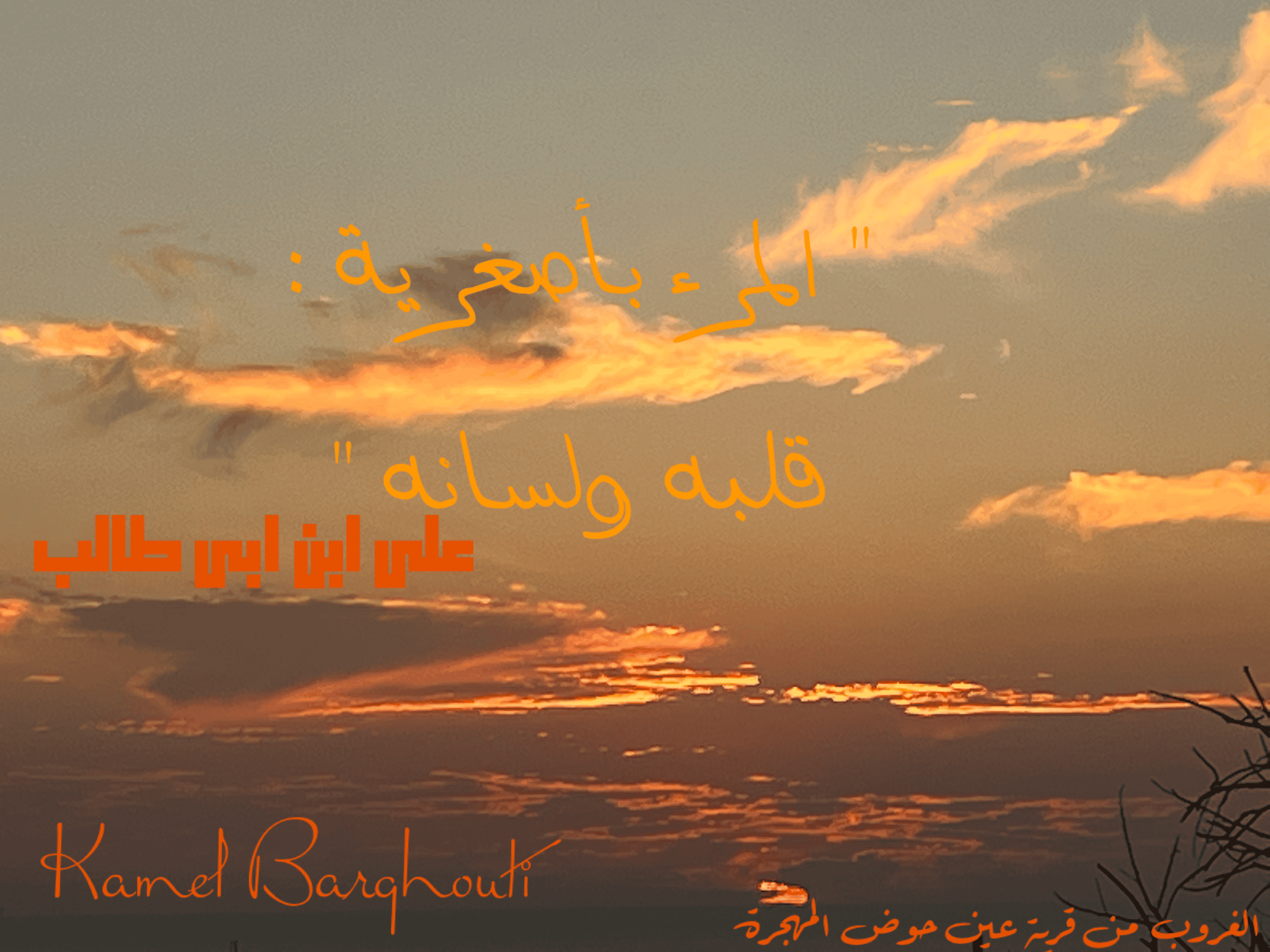 قيم إنسانية – اقتباس 293