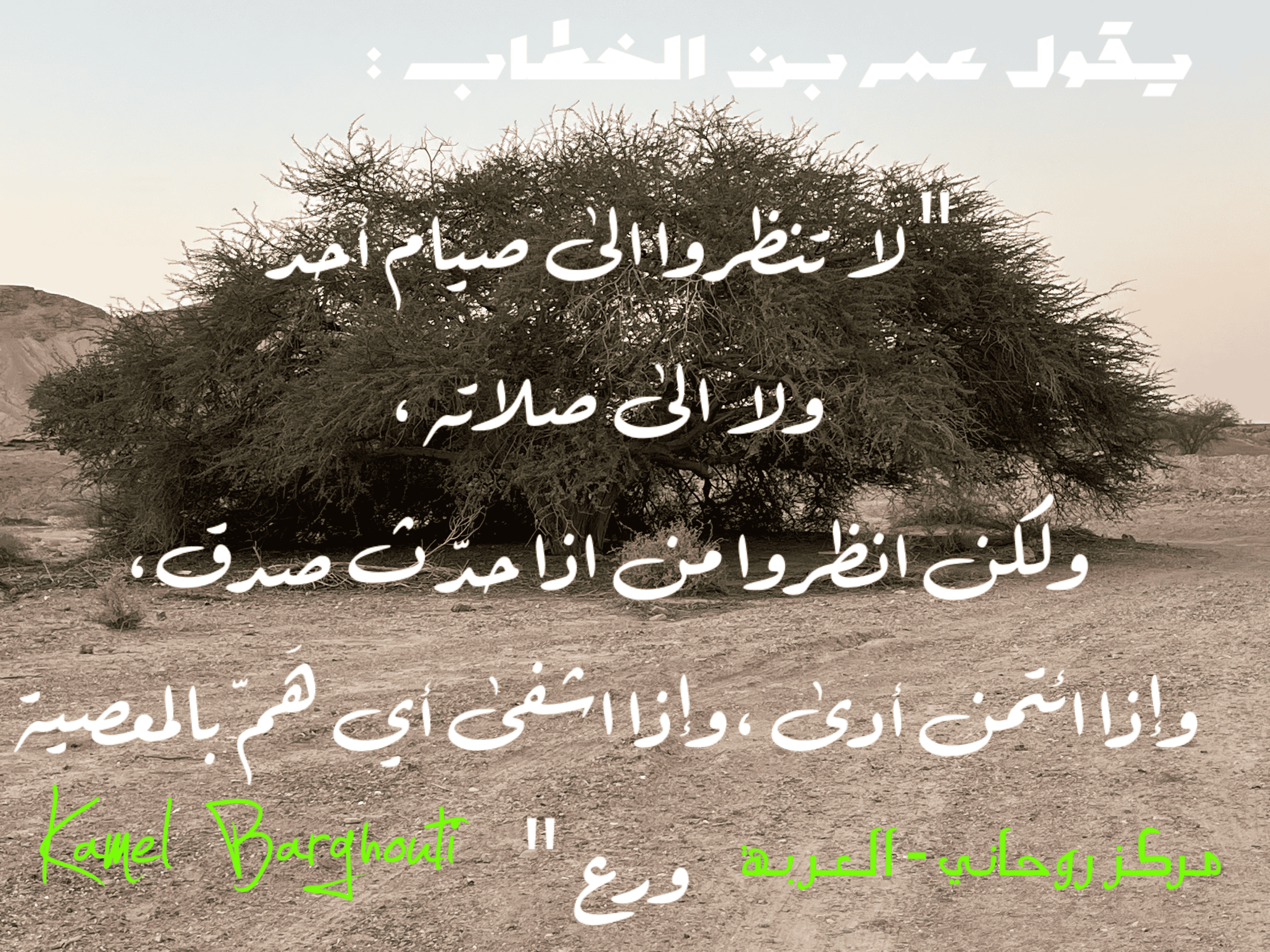 قيم إنسانية – اقتباس 294