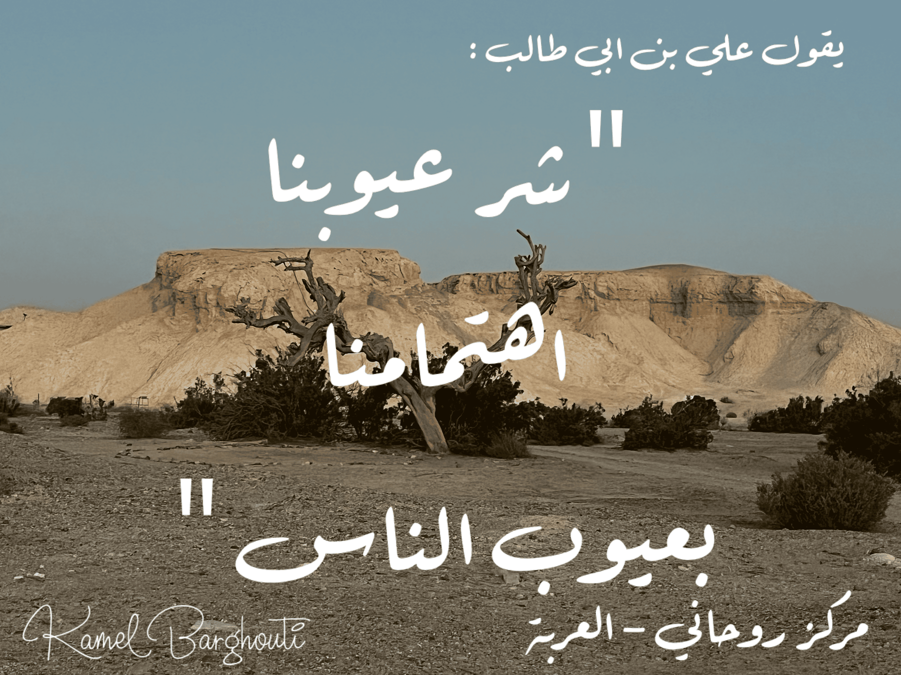 قيم إنسانية – اقتباس 290