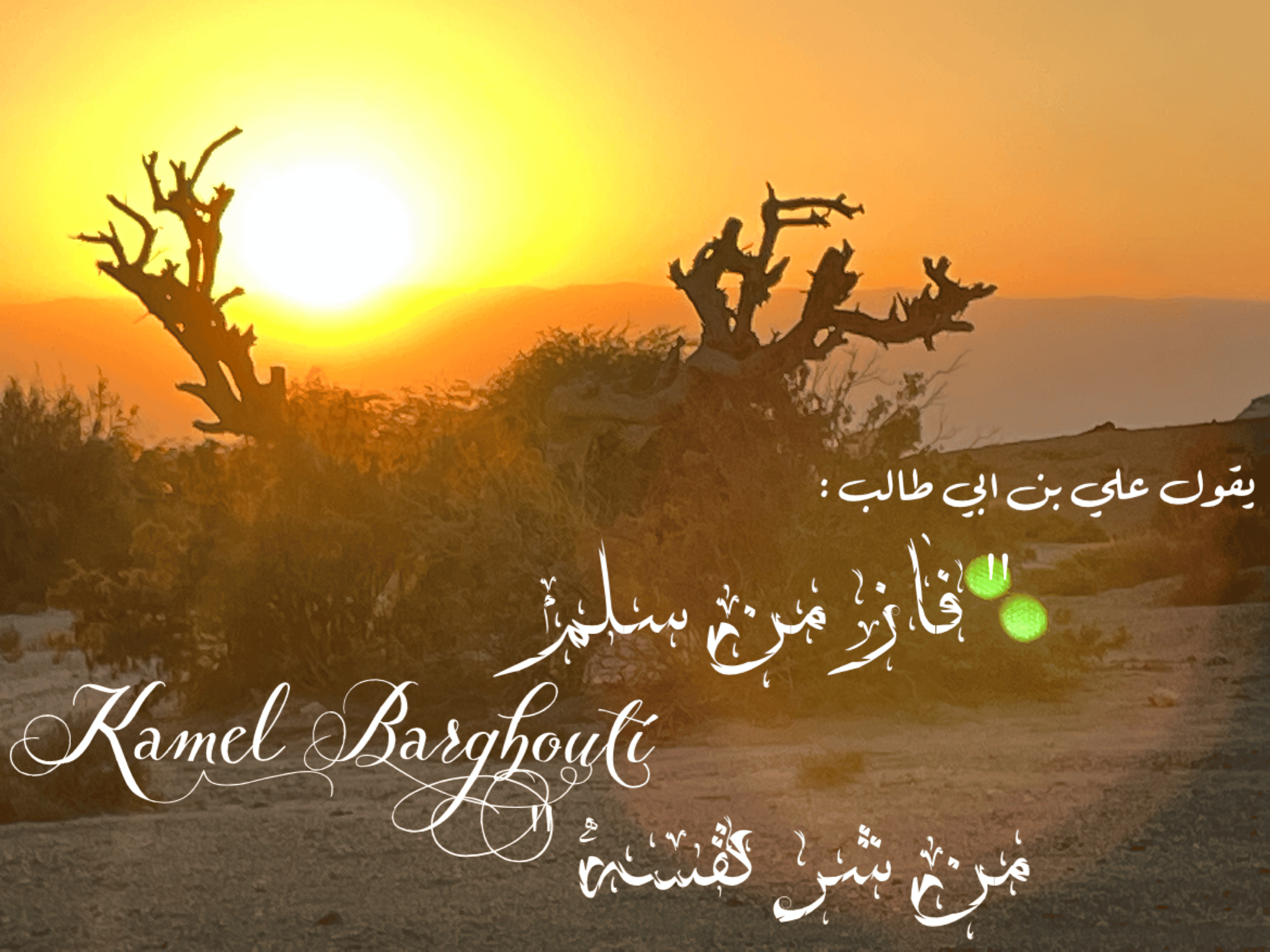 قيم إنسانية – اقتباس 292