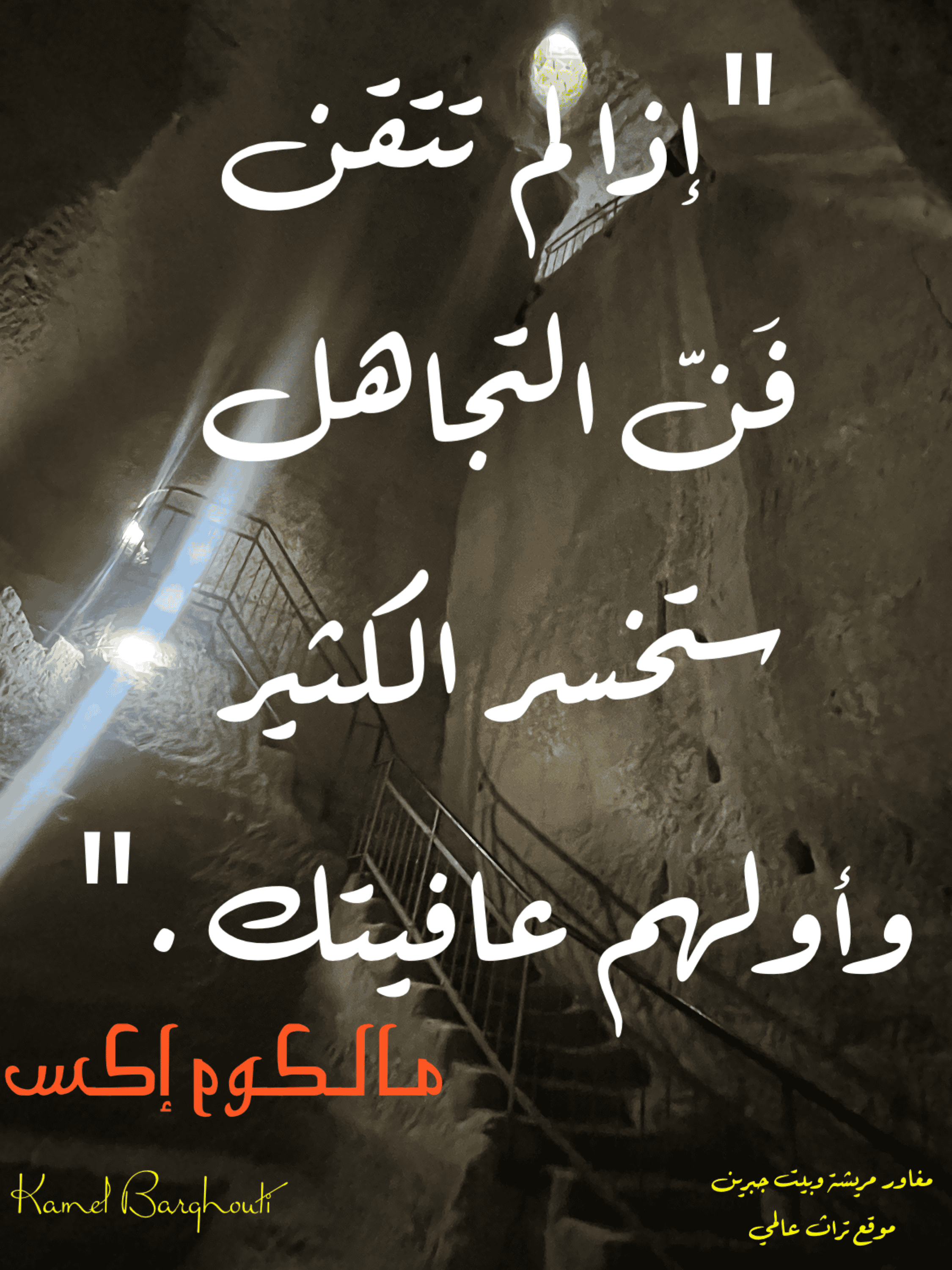 قيم إنسانية – اقتباس 247
