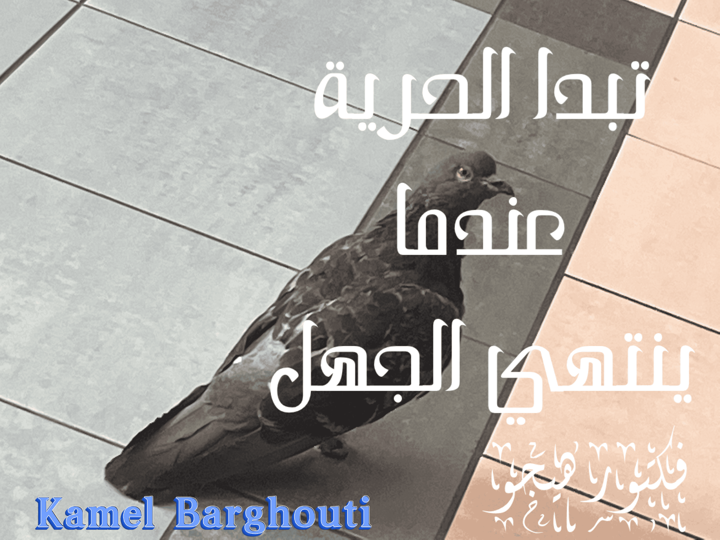 قيم إنسانية – اقتباس 228