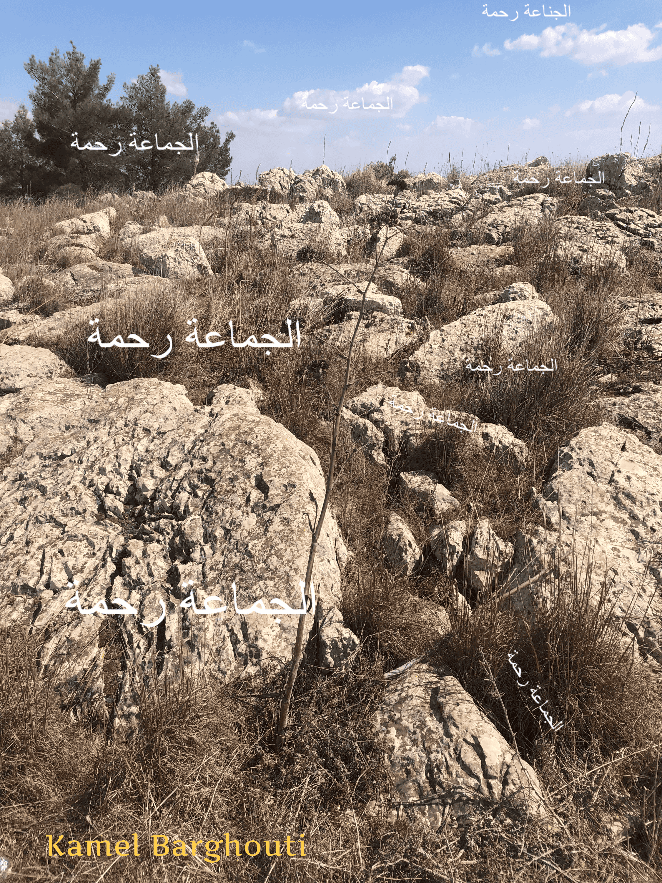 قيم إنسانية – اقتباس 221