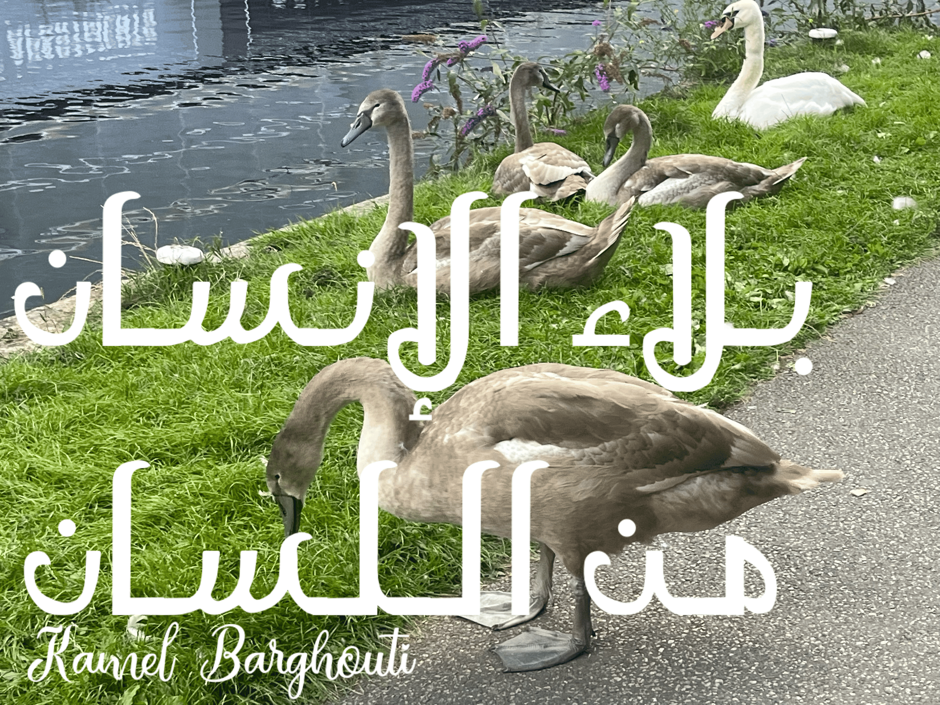 قيم إنسانية – اقتباس 214