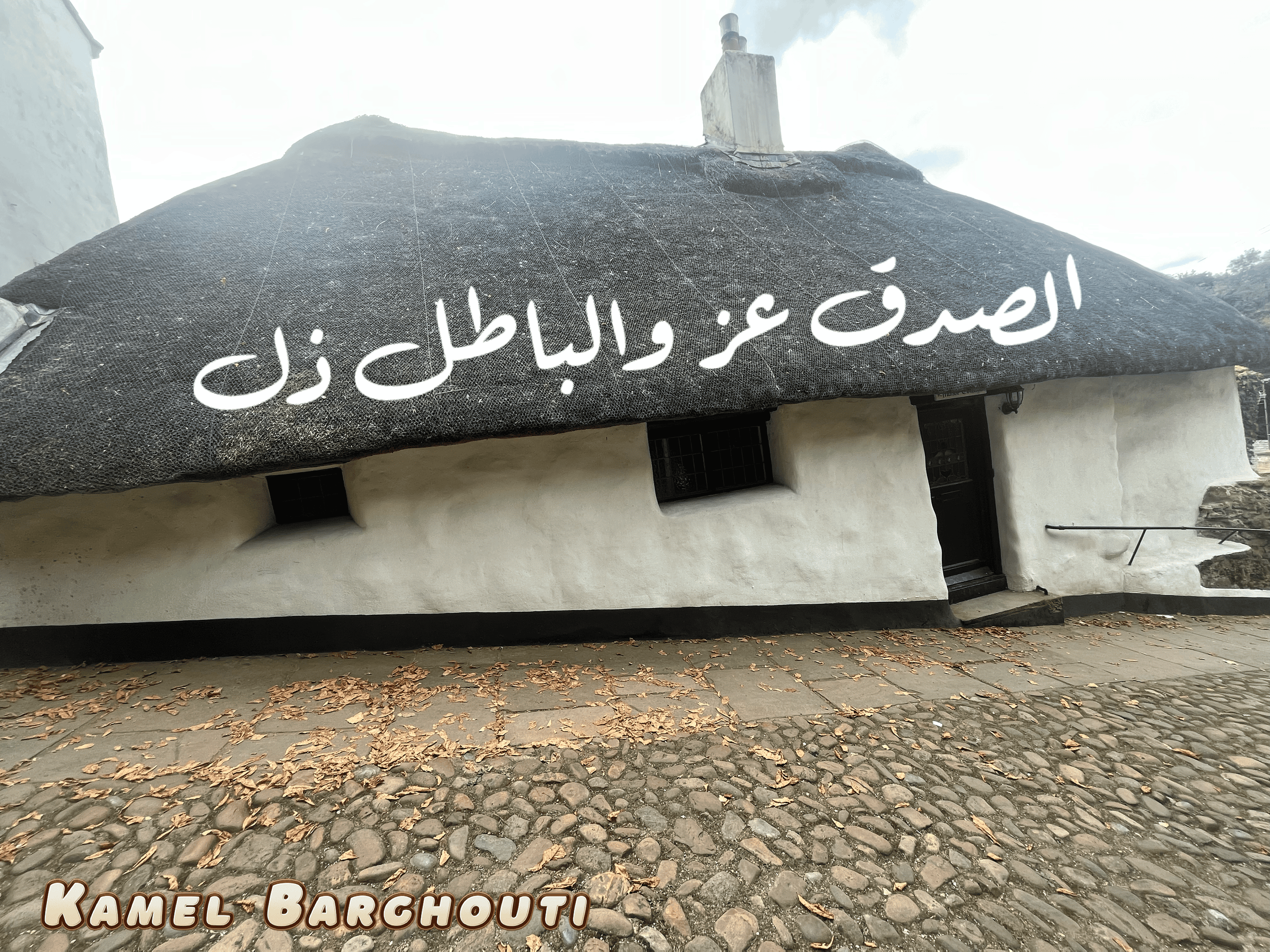قيم إنسانية – اقتباس 208