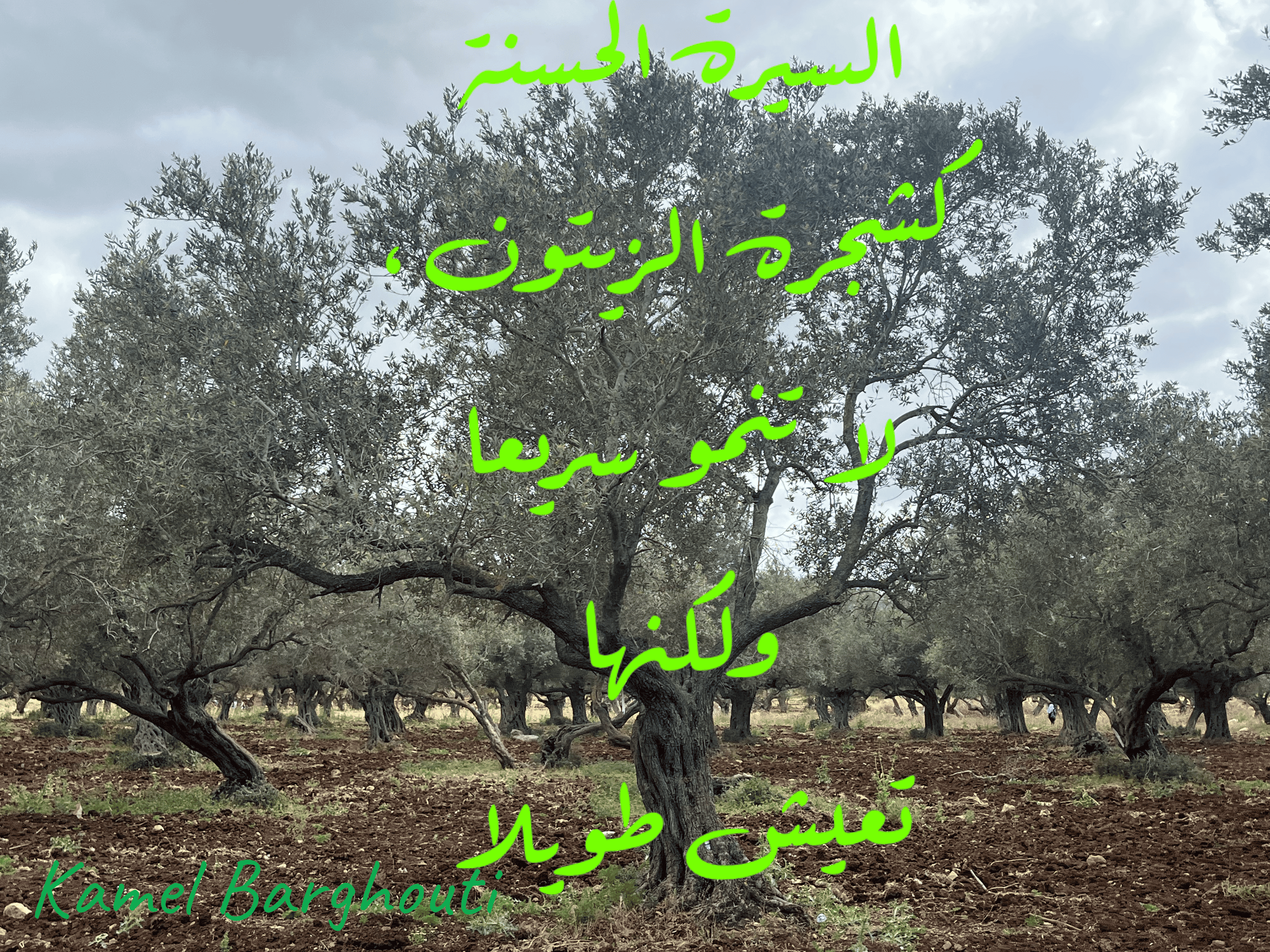 قيم إنسانية – اقتباس 158