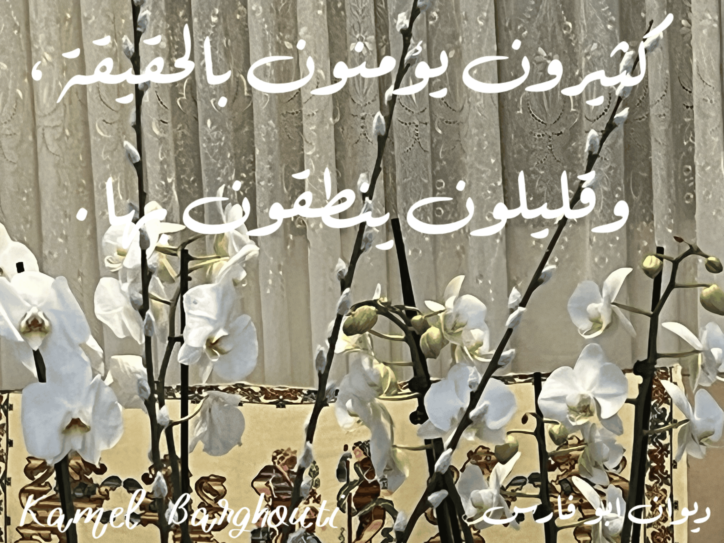 قيم إنسانية – اقتباس 154