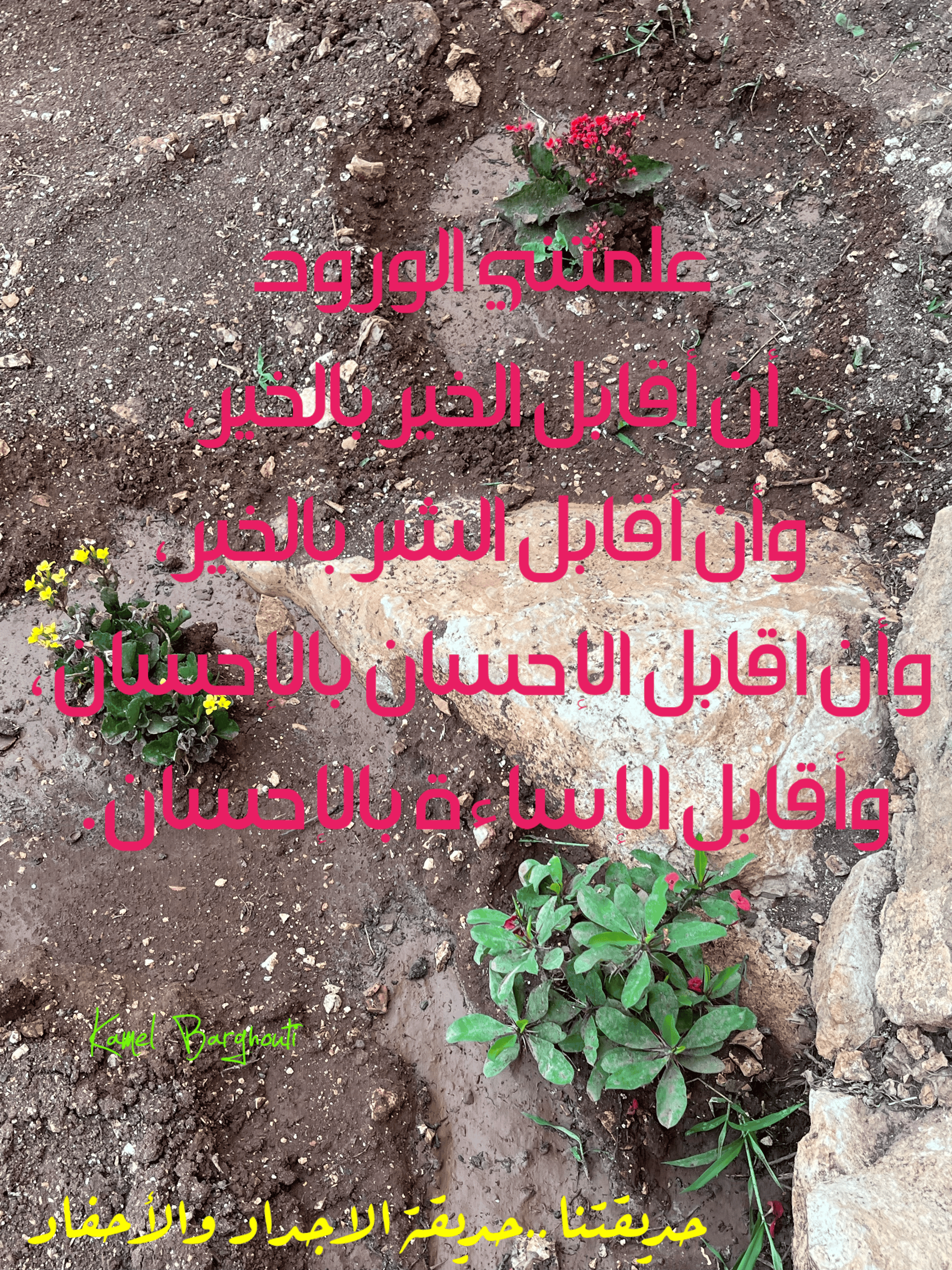 قيم إنسانية – اقتباس 156