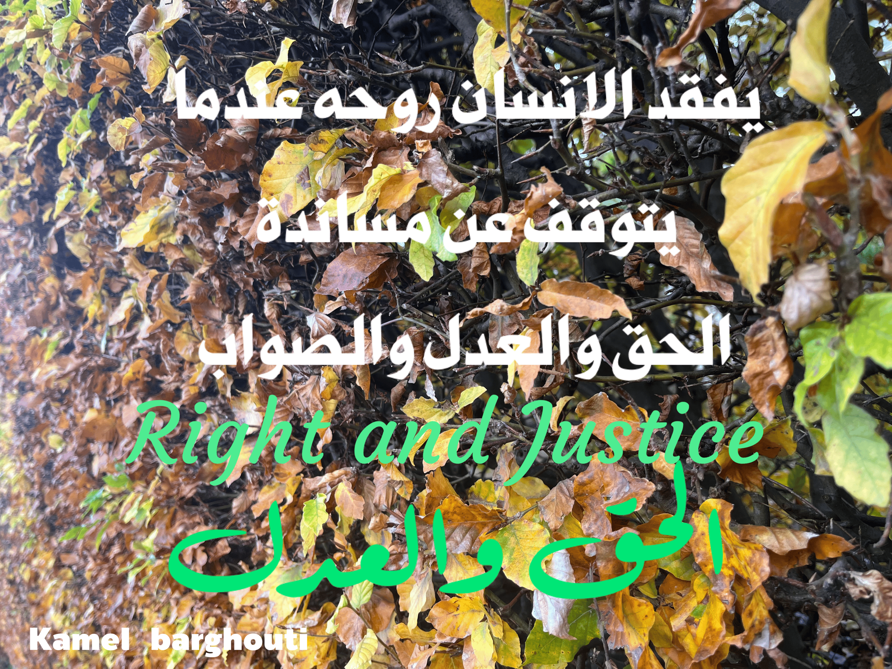 قيم إنسانية – اقتباس 149
