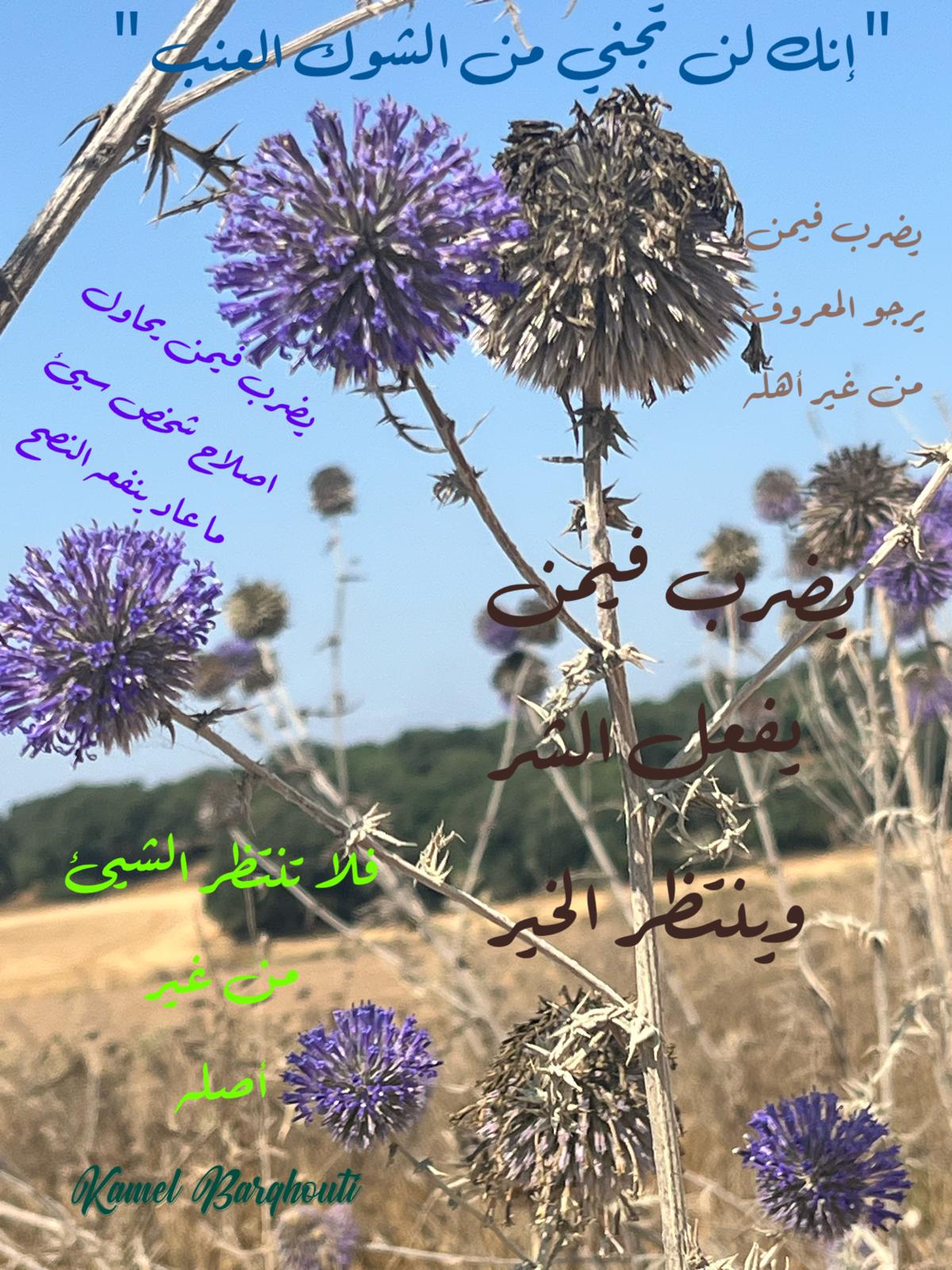 قيم إنسانية – اقتباس 87