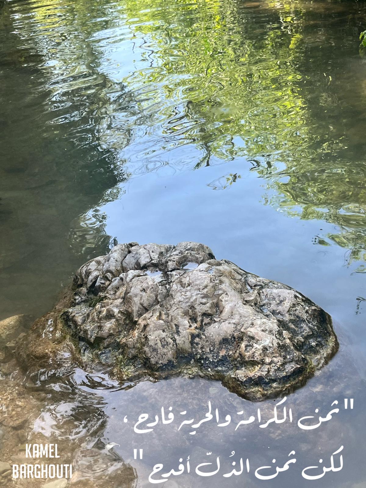 قيم إنسانية – اقتباس 79