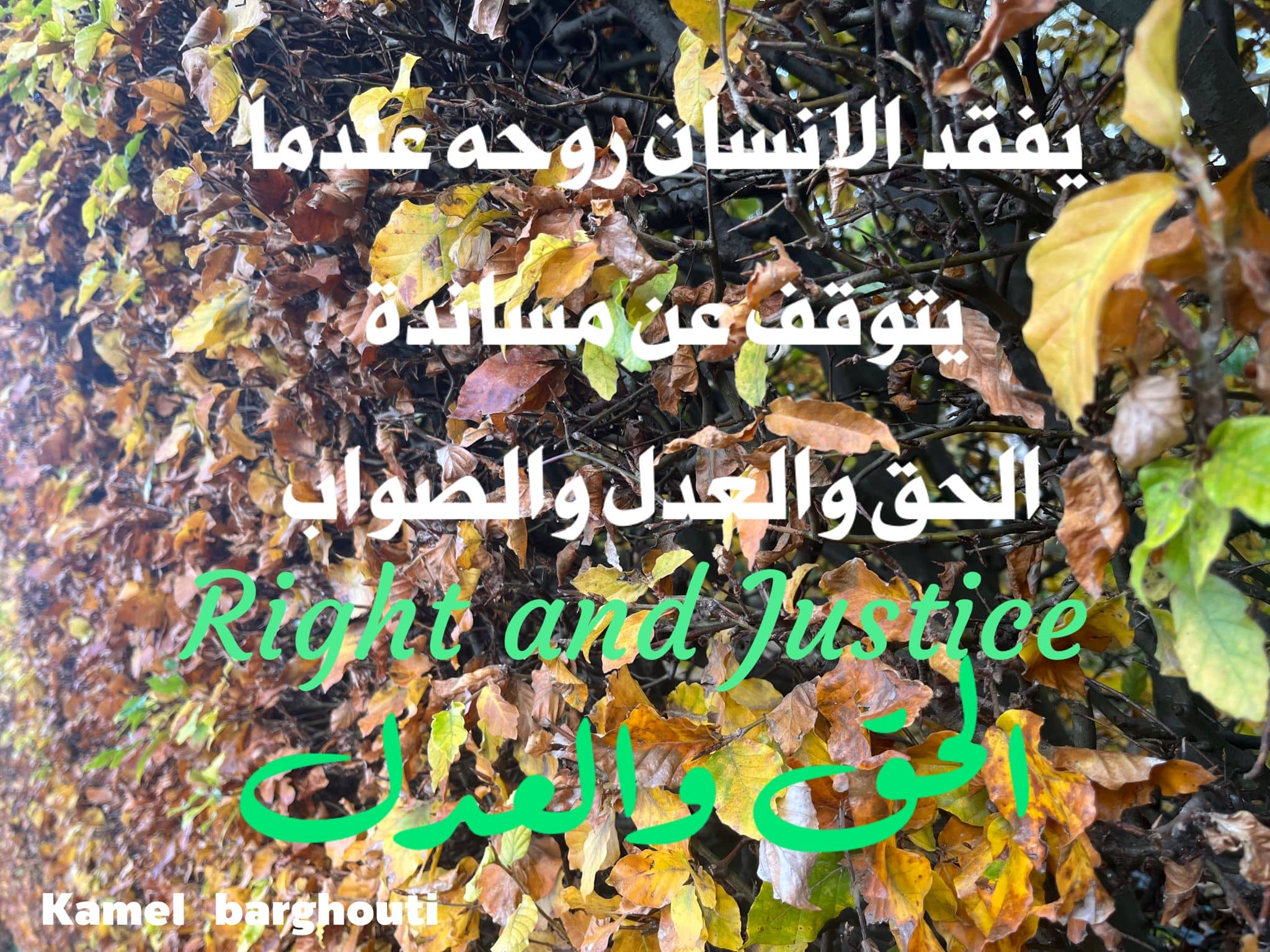قيم إنسانية – اقتباس 69