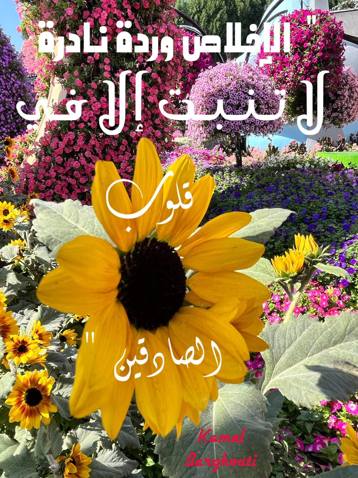 قيم إنسانية – اقتباس 73