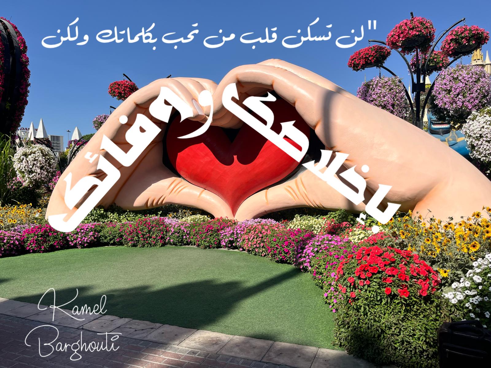 قيم إنسانية – اقتباس 74