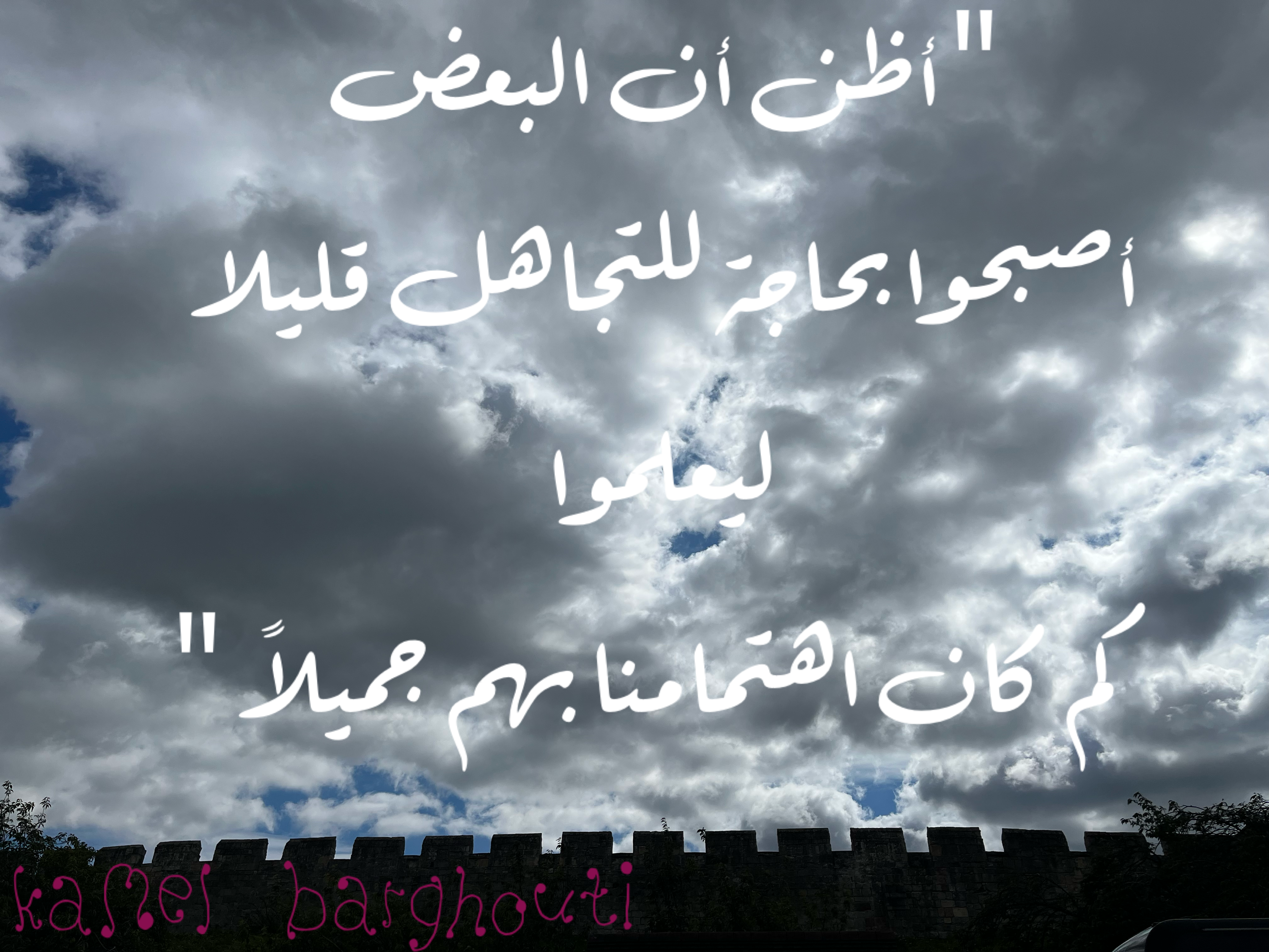 قيم إنسانية – اقتباس 54