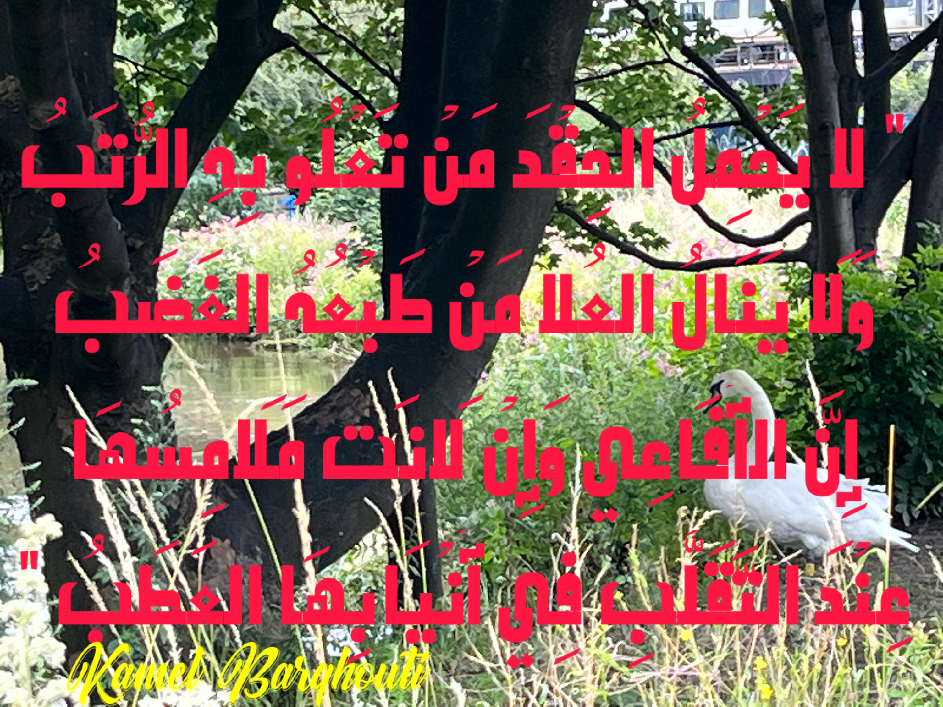قيم إنسانية – اقتباس 47