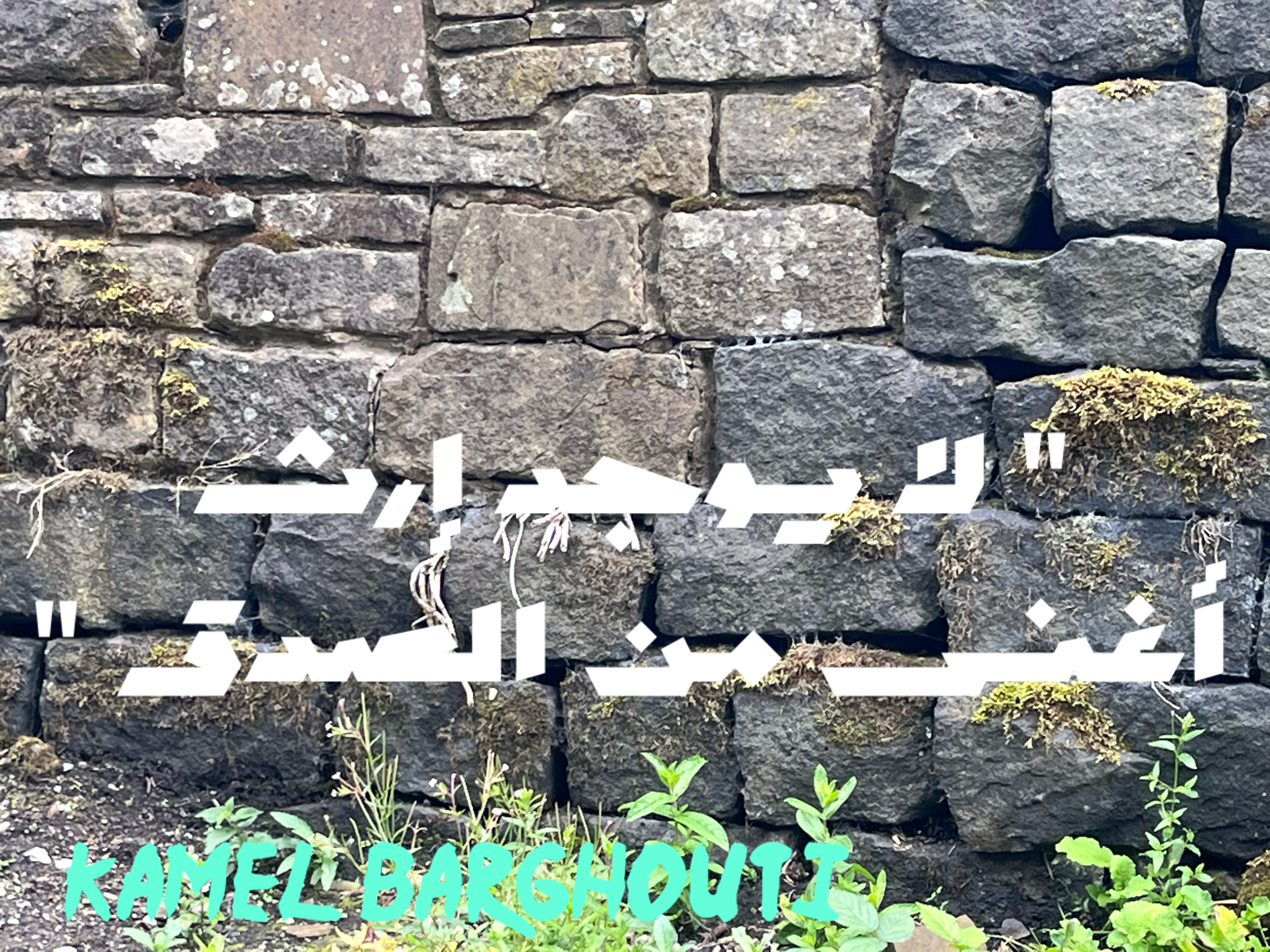 قيم إنسانية – اقتباس 41