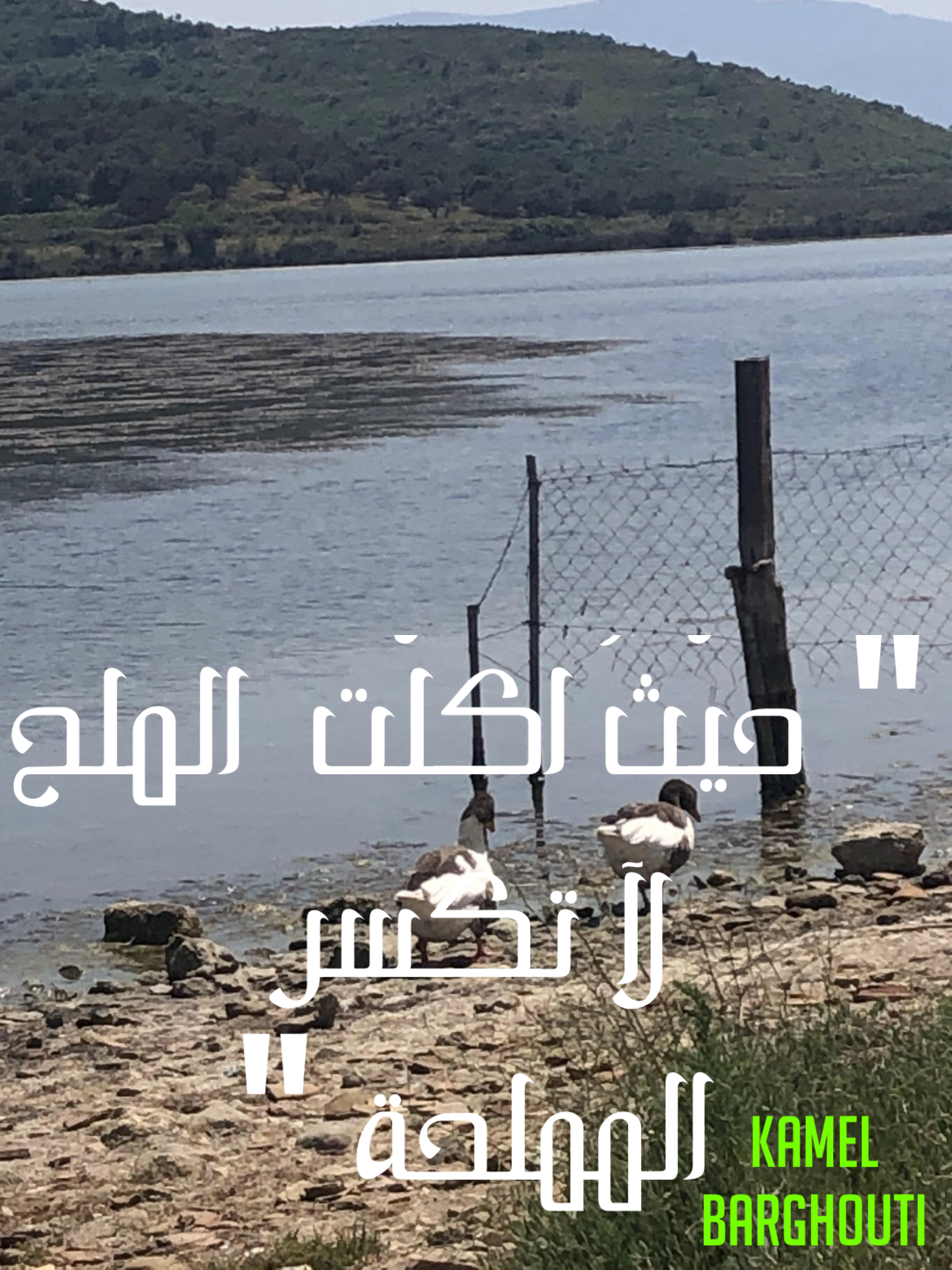 قيم إنسانية – اقتباس 32
