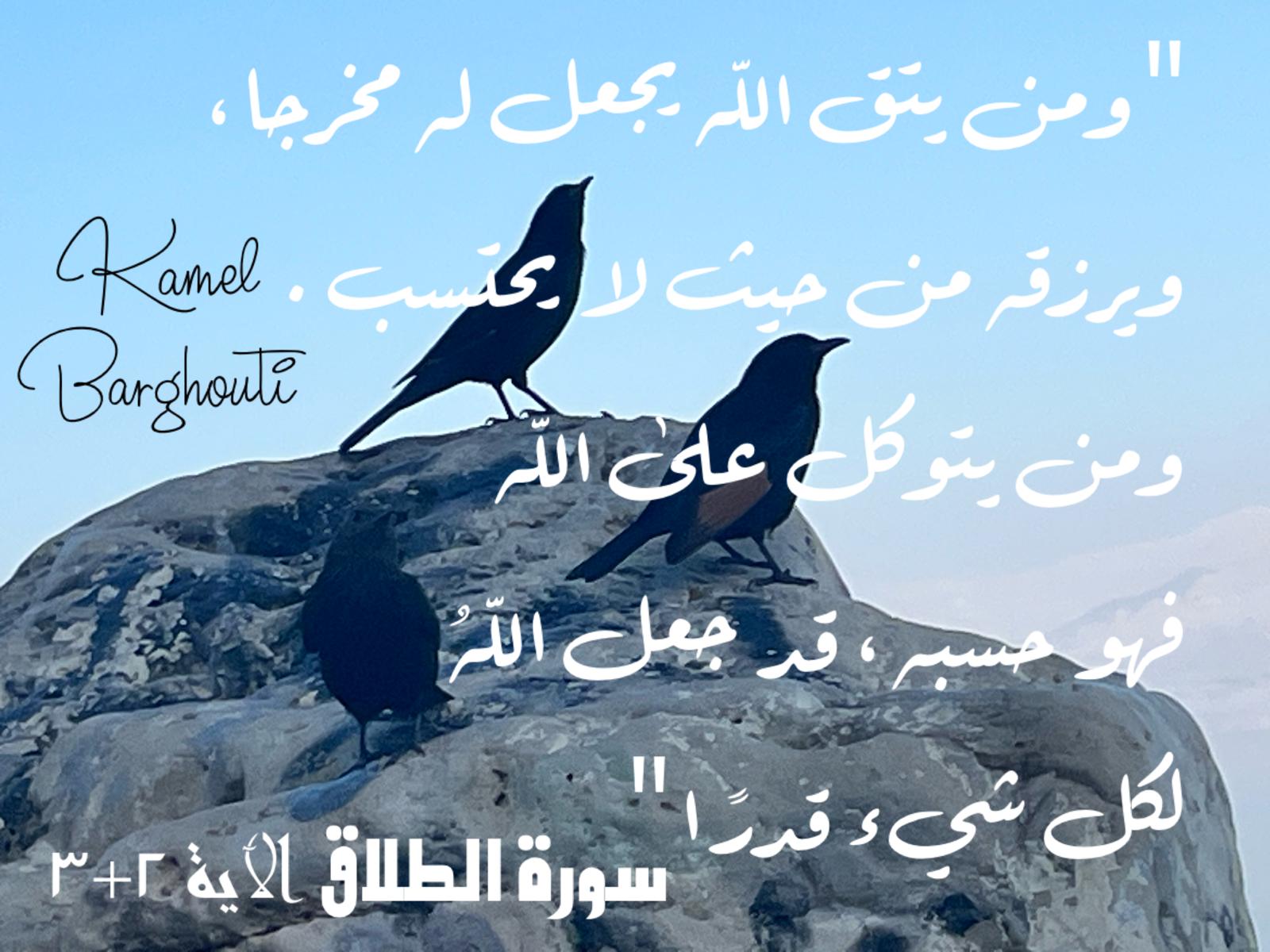 اليقين بالله – اقتباس 220