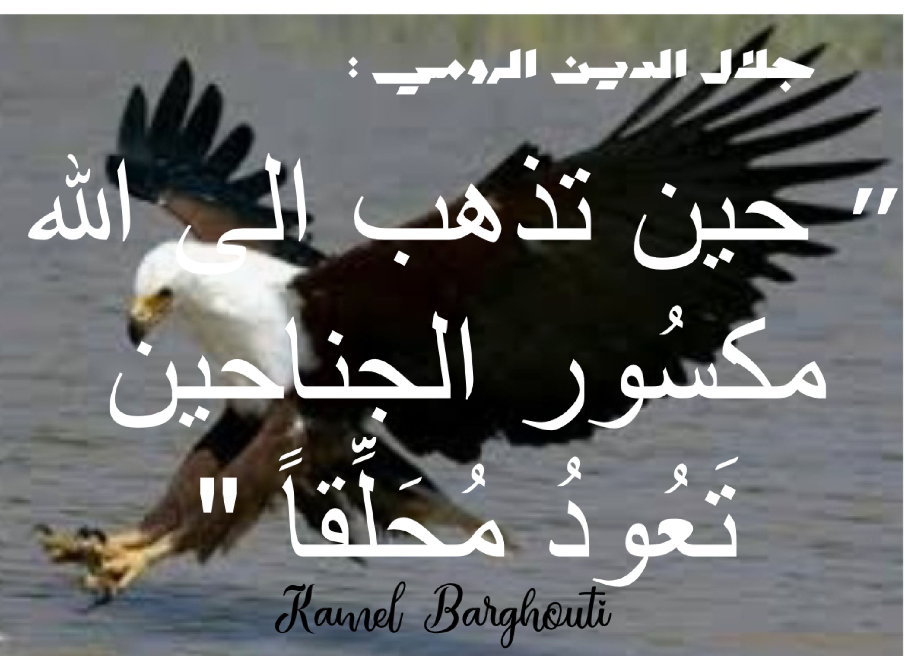 اليقين بالله – اقتباس 198