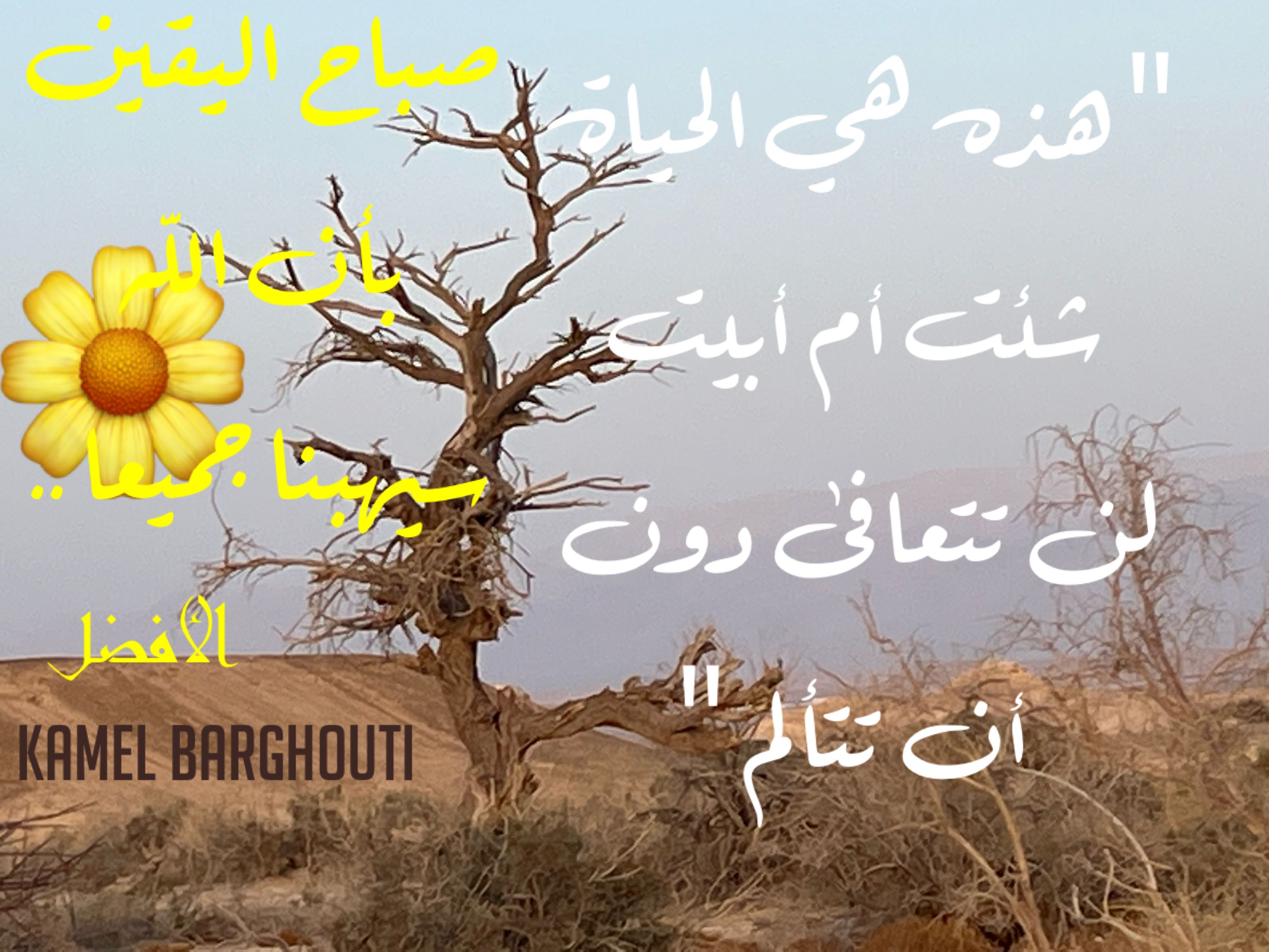 اليقين بالله – اقتباس 156