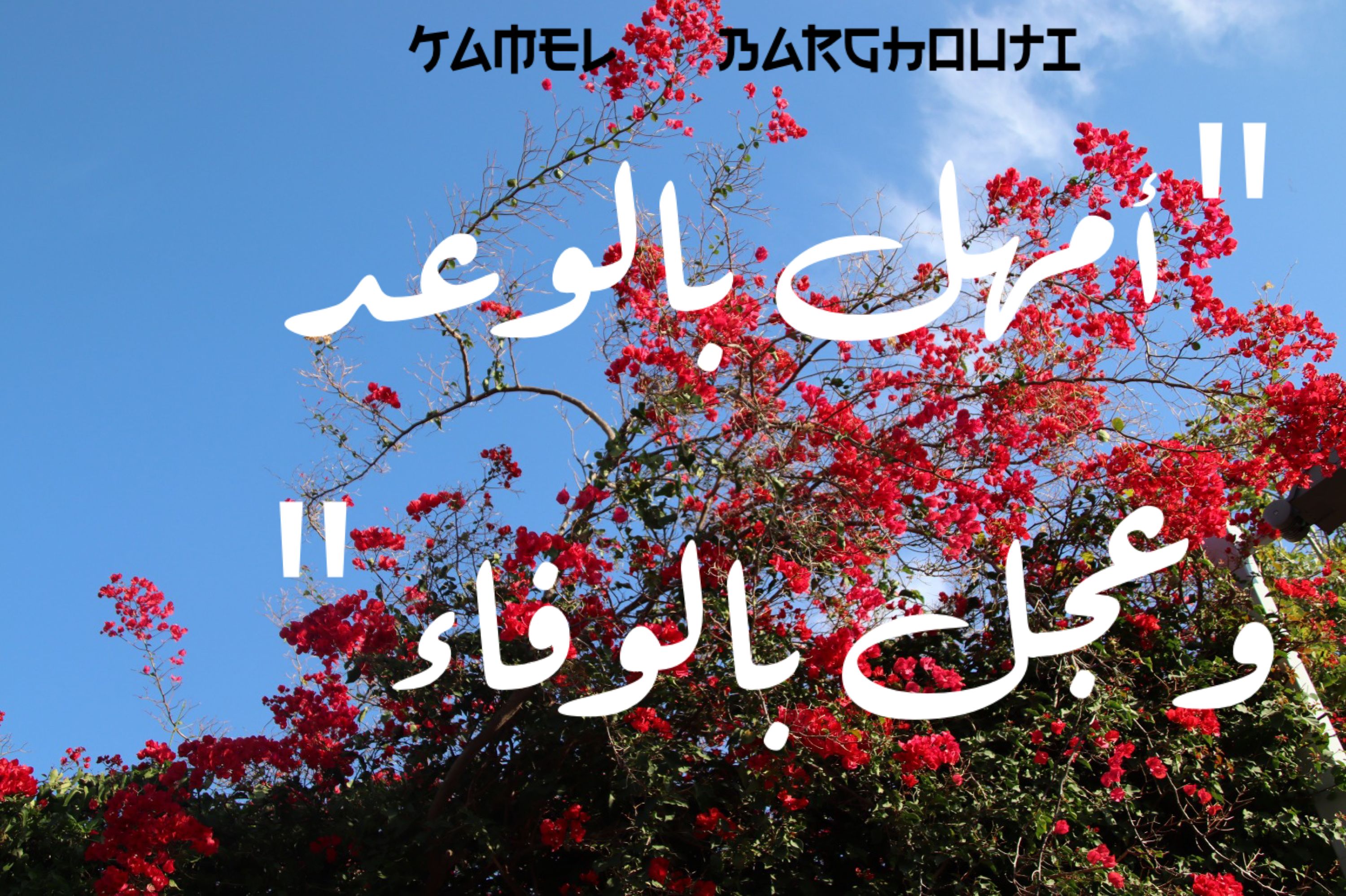 اليقين بالله – اقتباس 121
