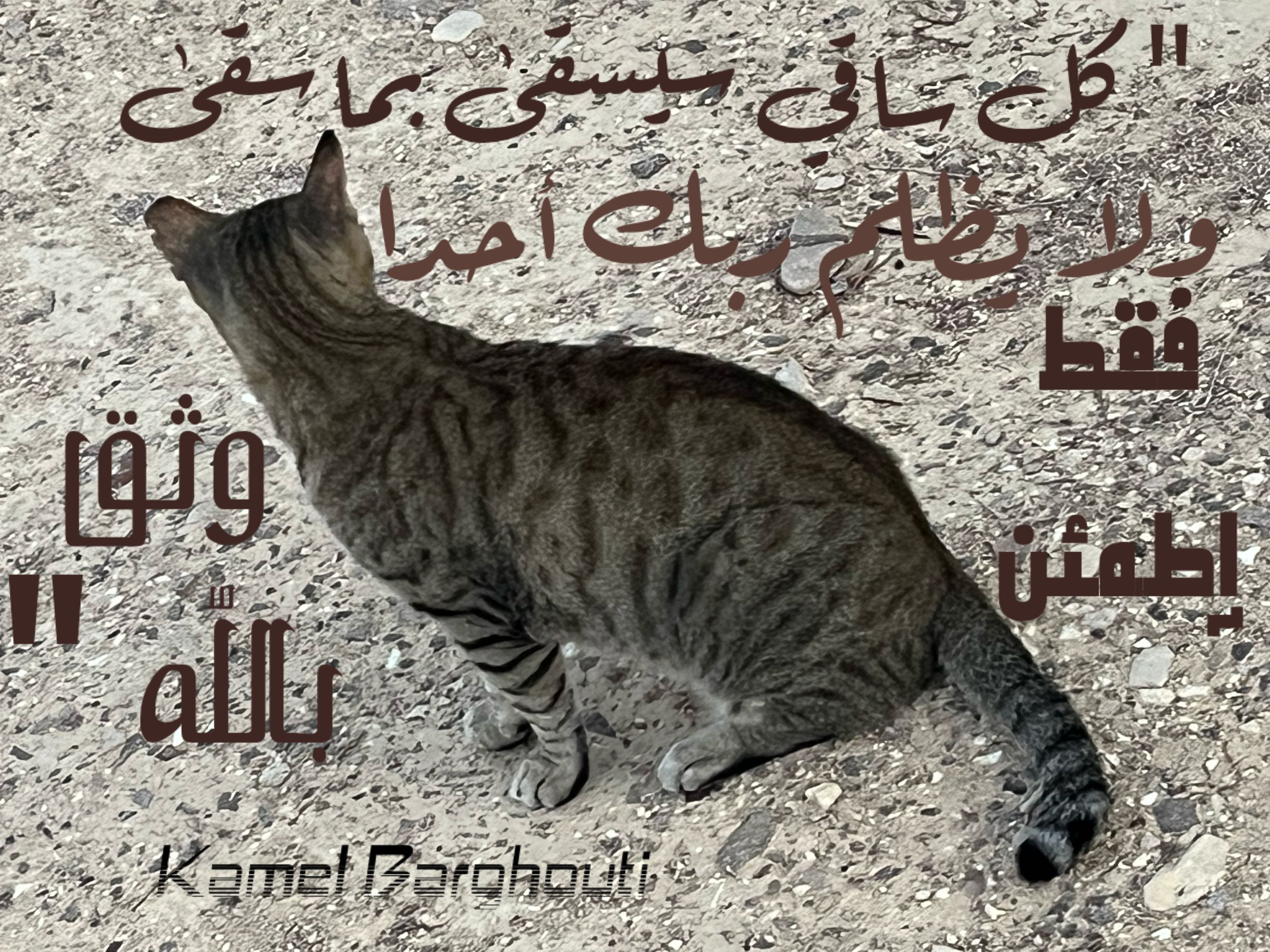 اليقين بالله – اقتباس 108