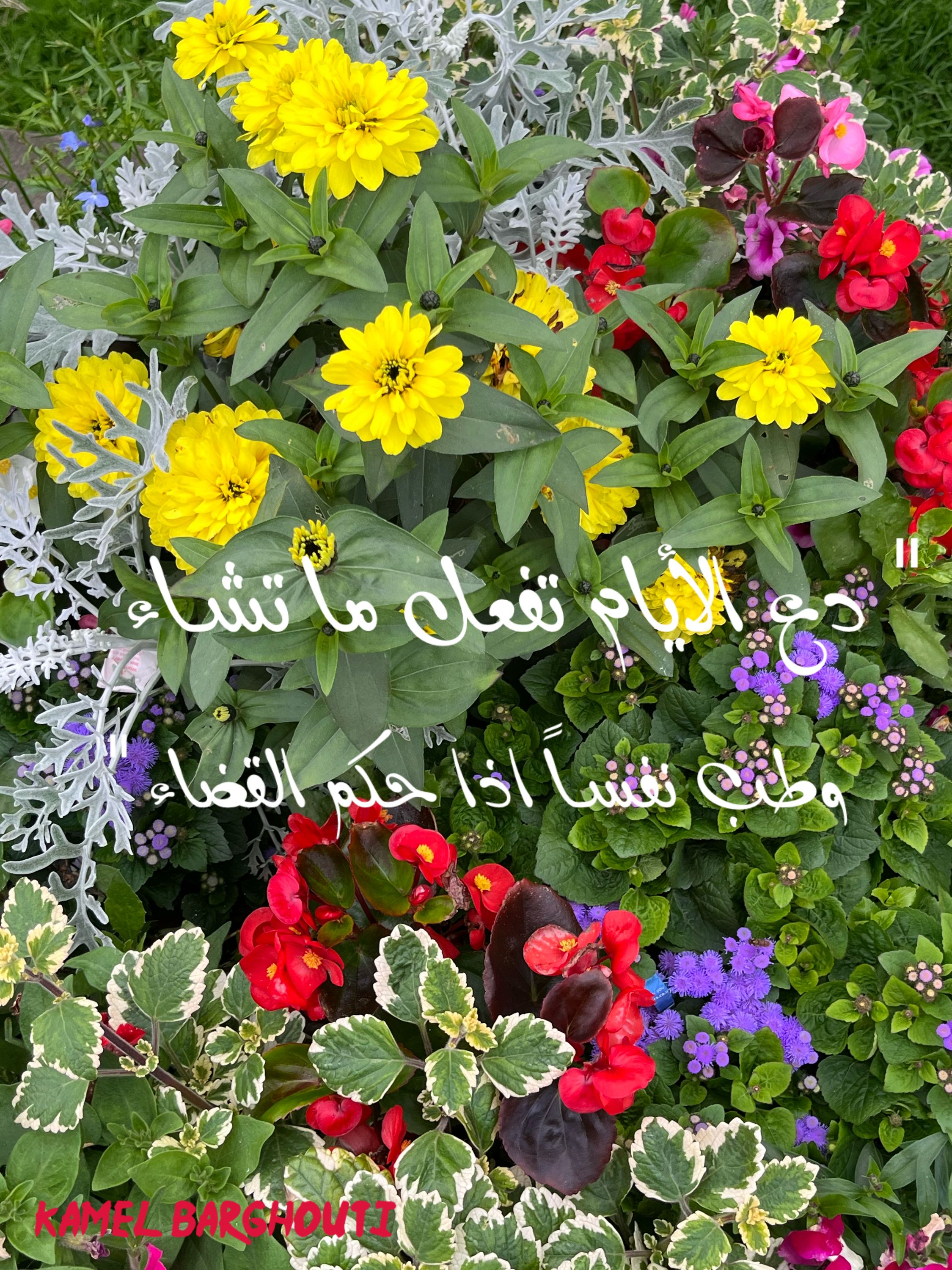 اليقين بالله – اقتباس 89