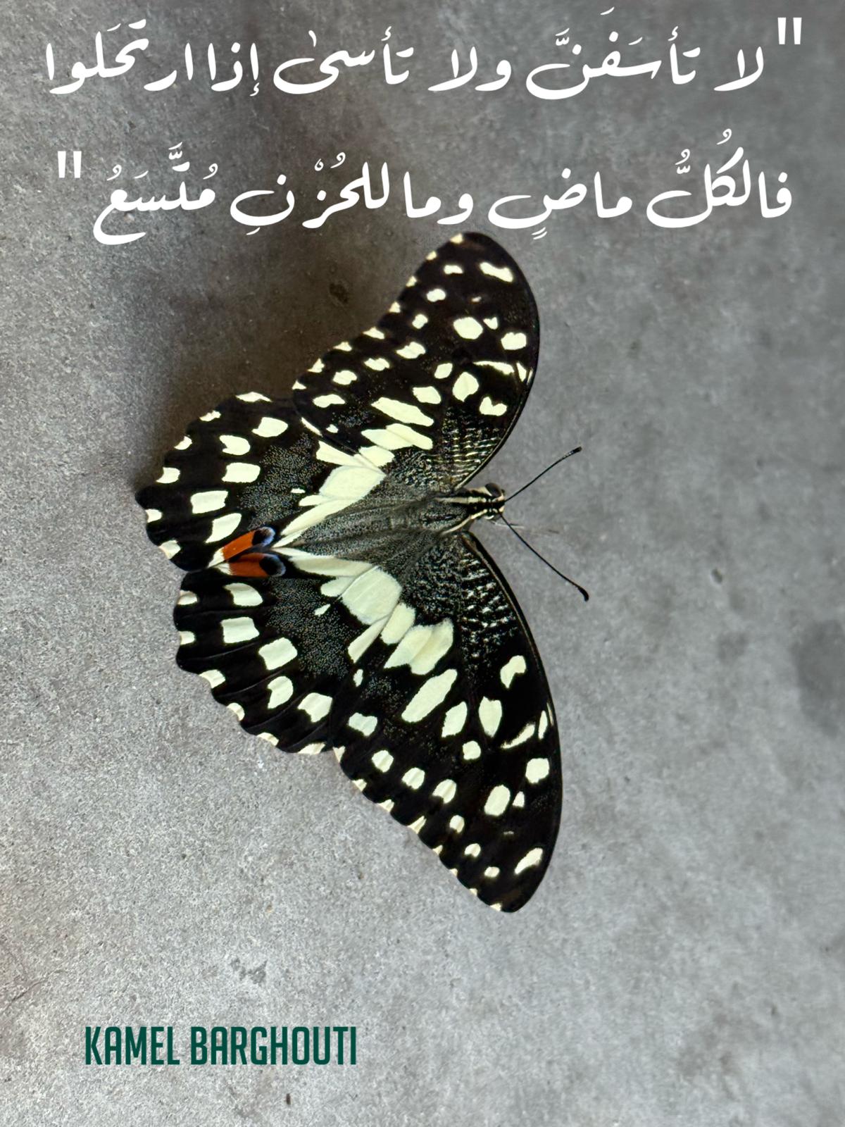 العزيمة والإصرار والثقة بالنفس – اقتباس 251
