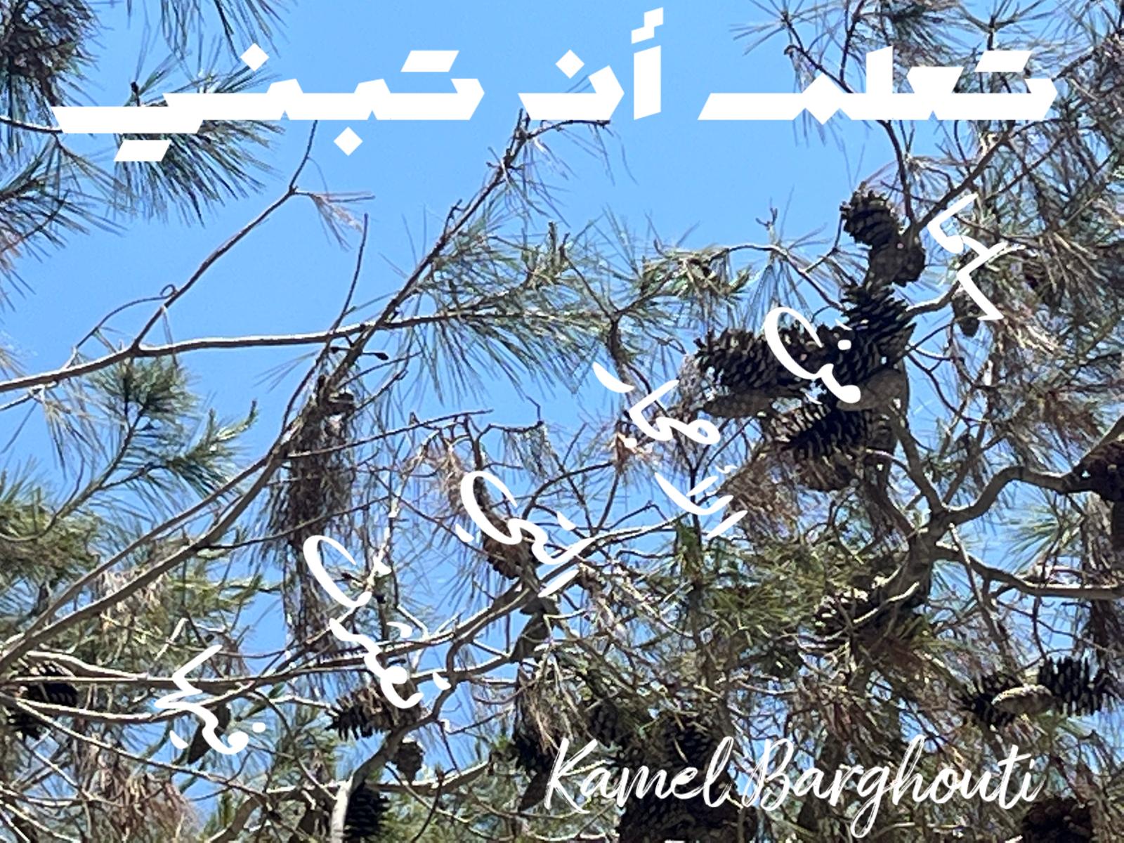 العزيمة والإصرار والثقة بالنفس – اقتباس 259
