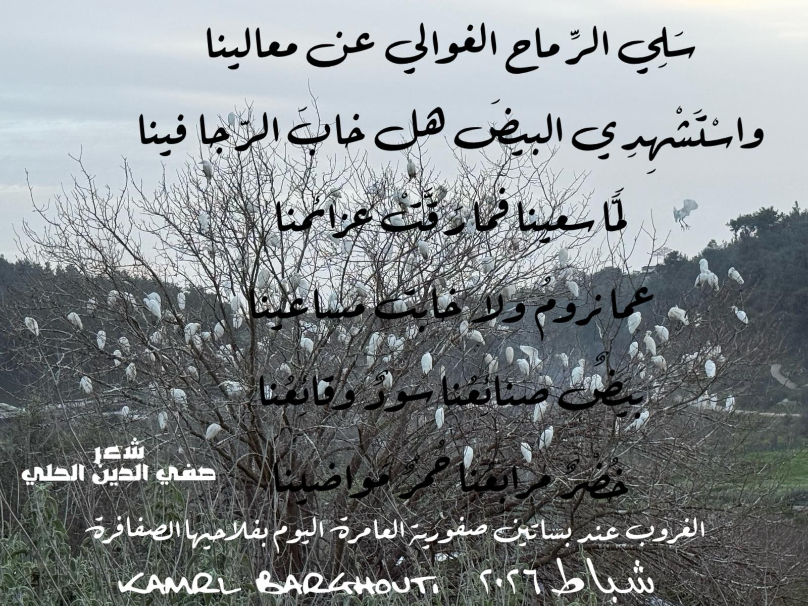العزيمة والإصرار والثقة بالنفس – اقتباس 256