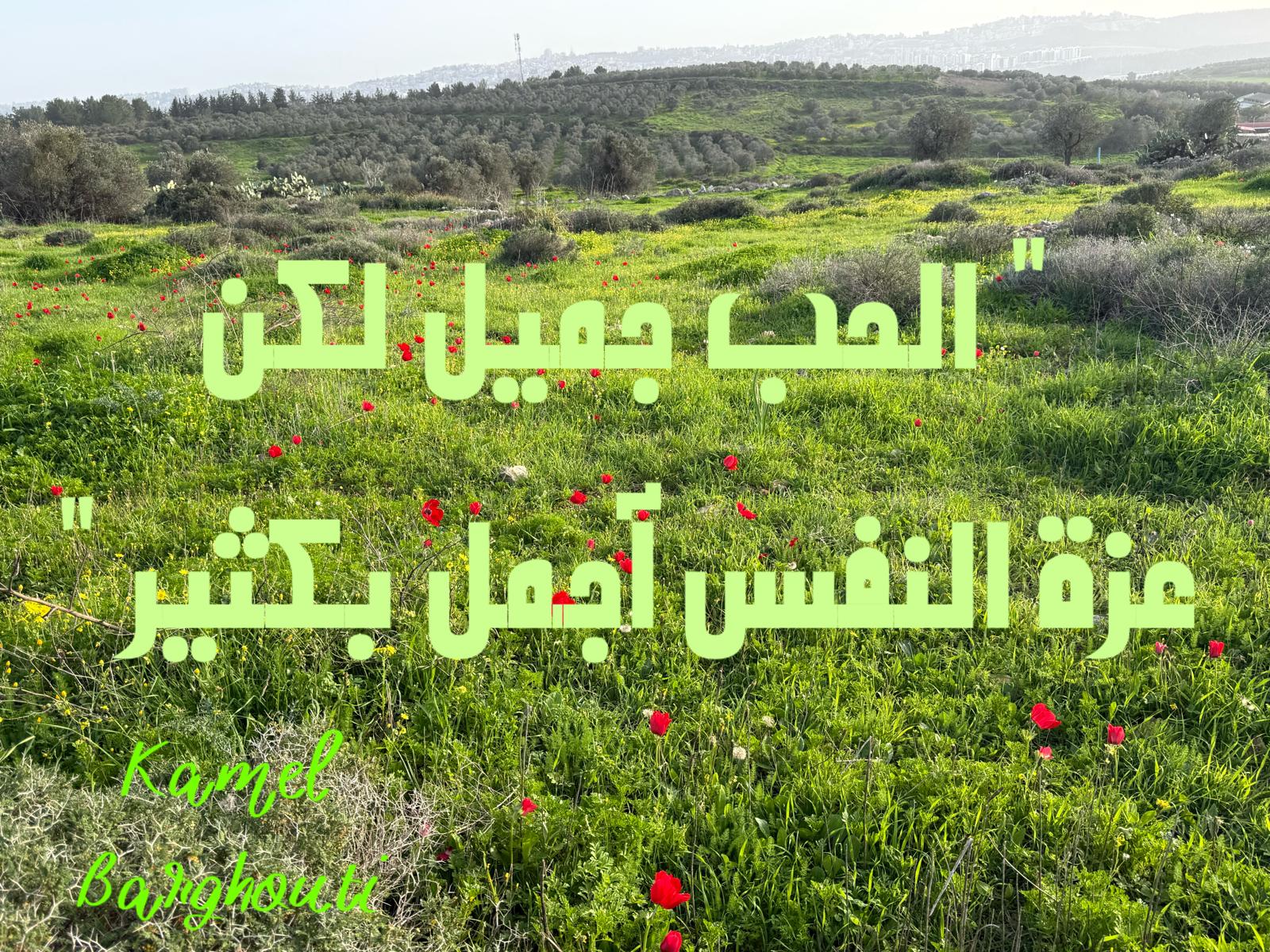 العزيمة والإصرار والثقة بالنفس – اقتباس 262