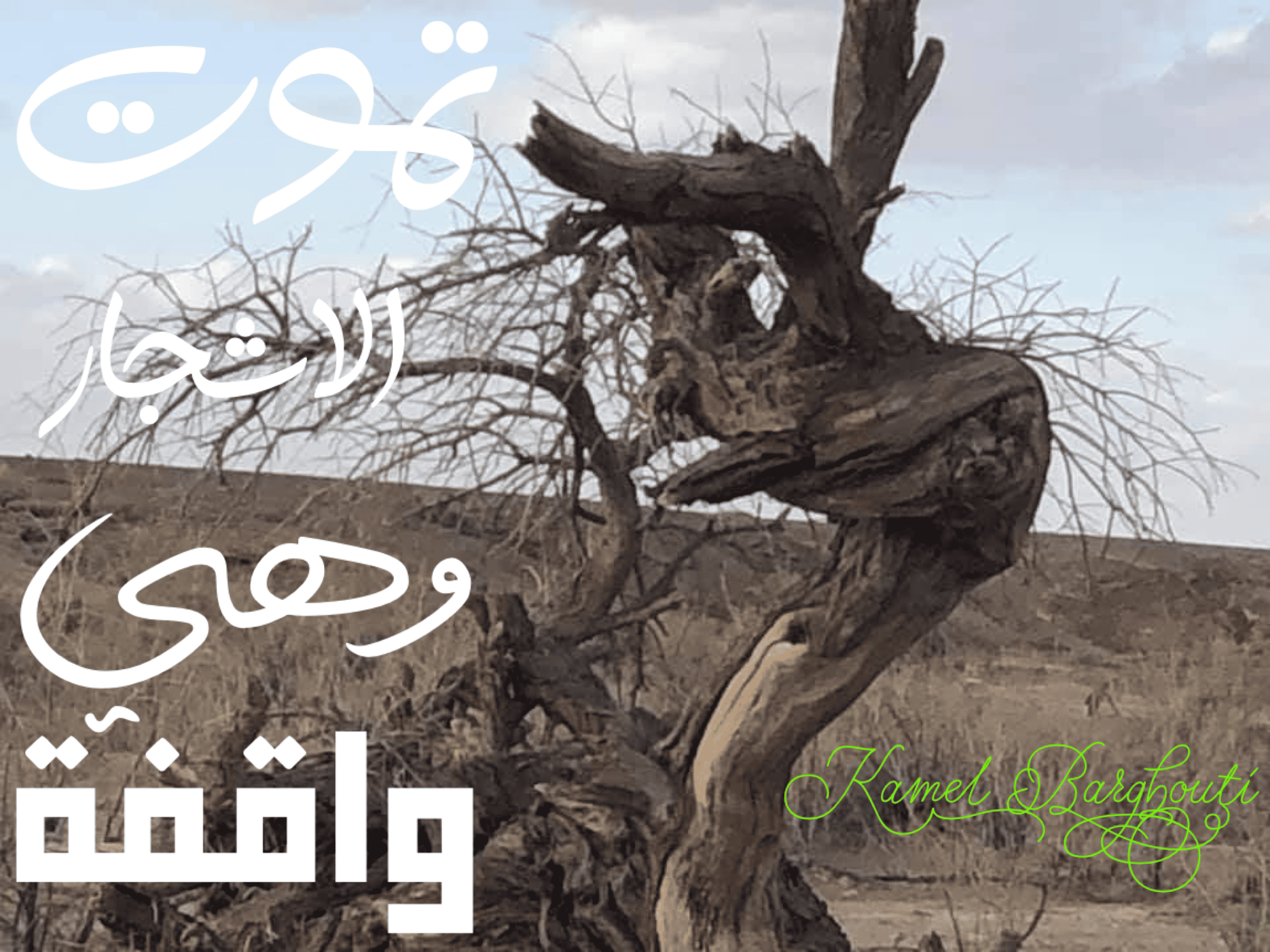 العزيمة والإصرار والثقة بالنفس – اقتباس 227