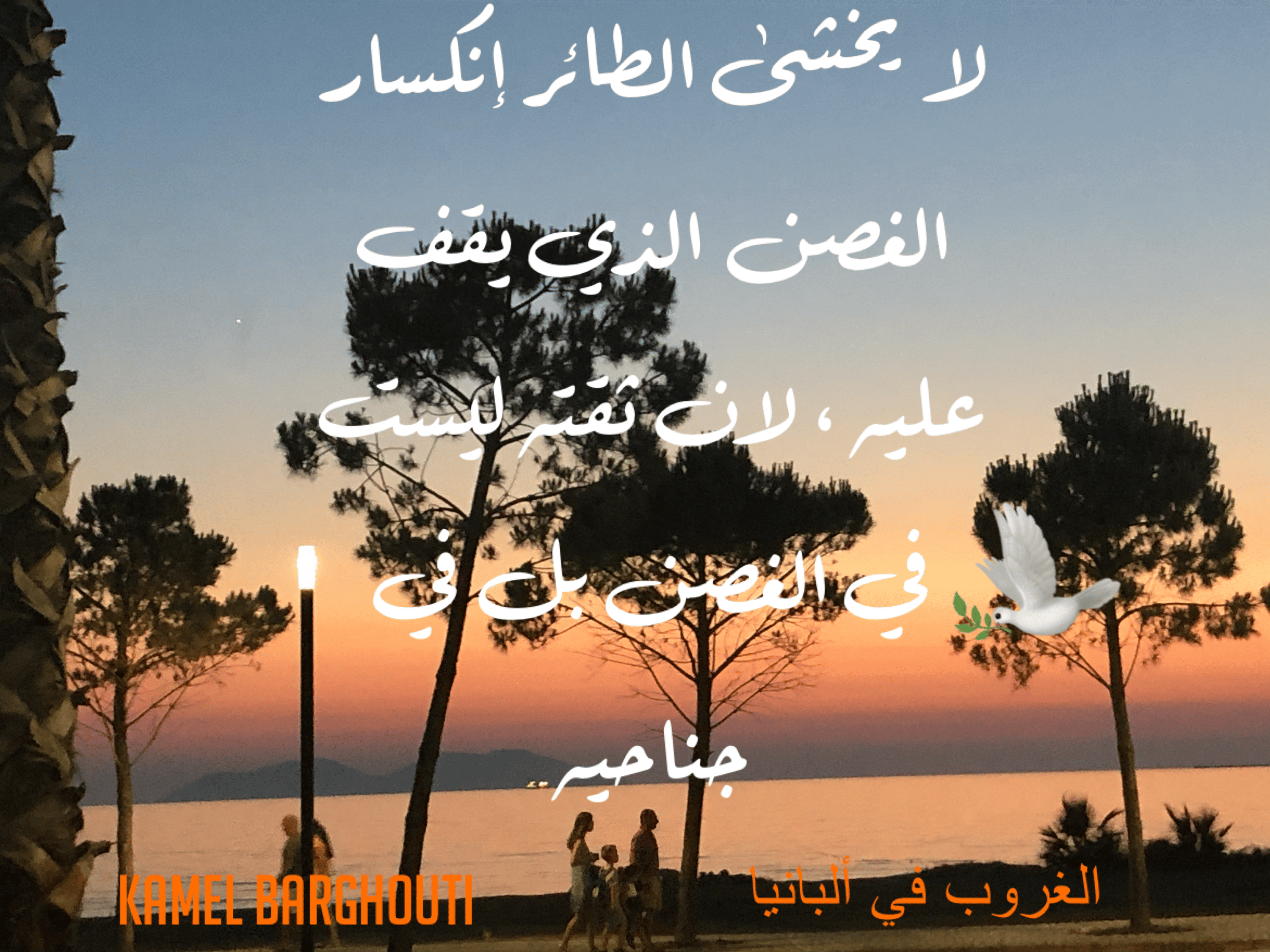 العزيمة والإصرار والثقة بالنفس – اقتباس 215