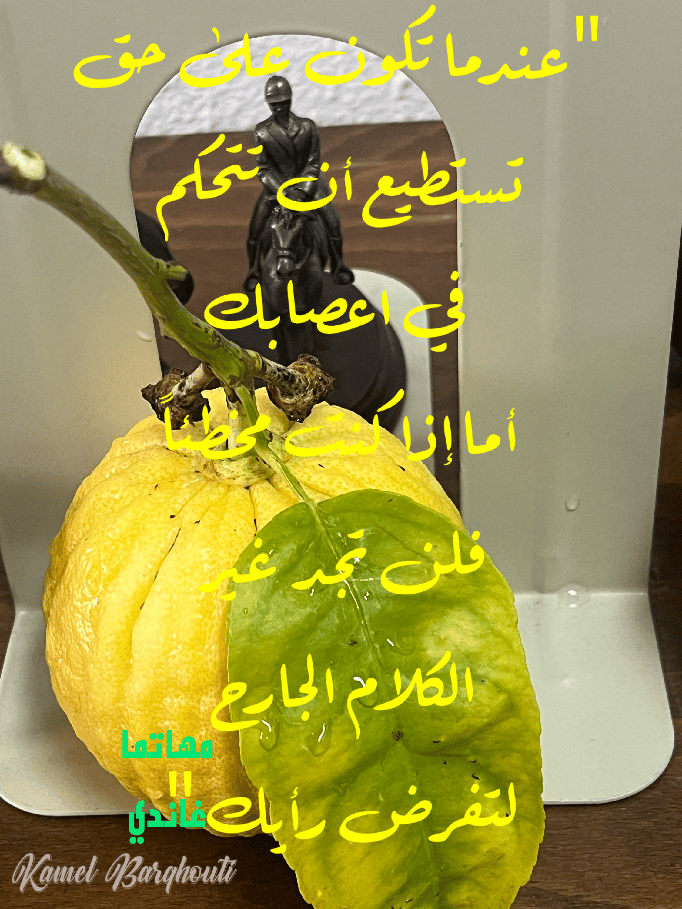 العزيمة والإصرار والثقة بالنفس – اقتباس 206