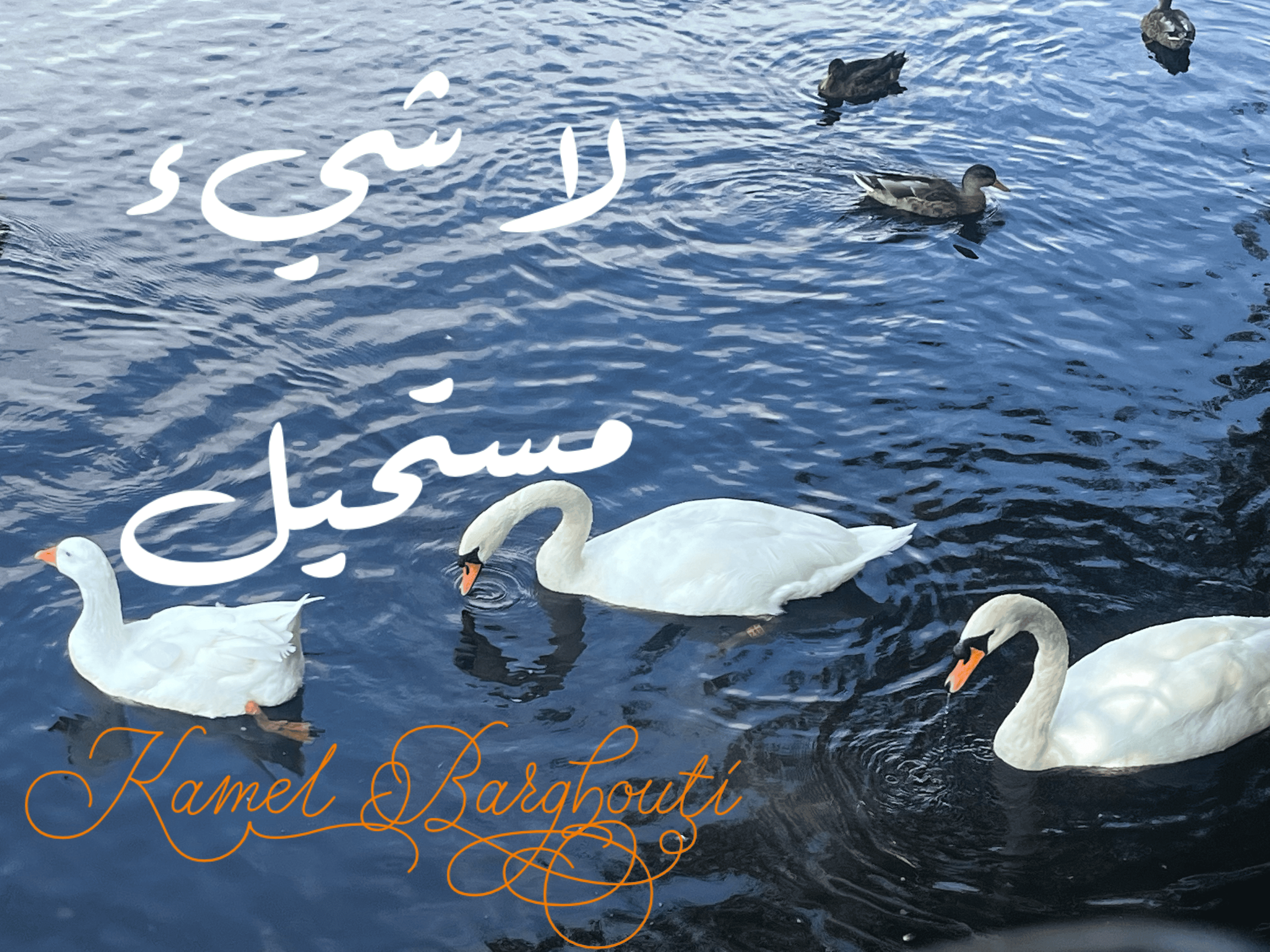 العزيمة والإصرار والثقة بالنفس – اقتباس 199