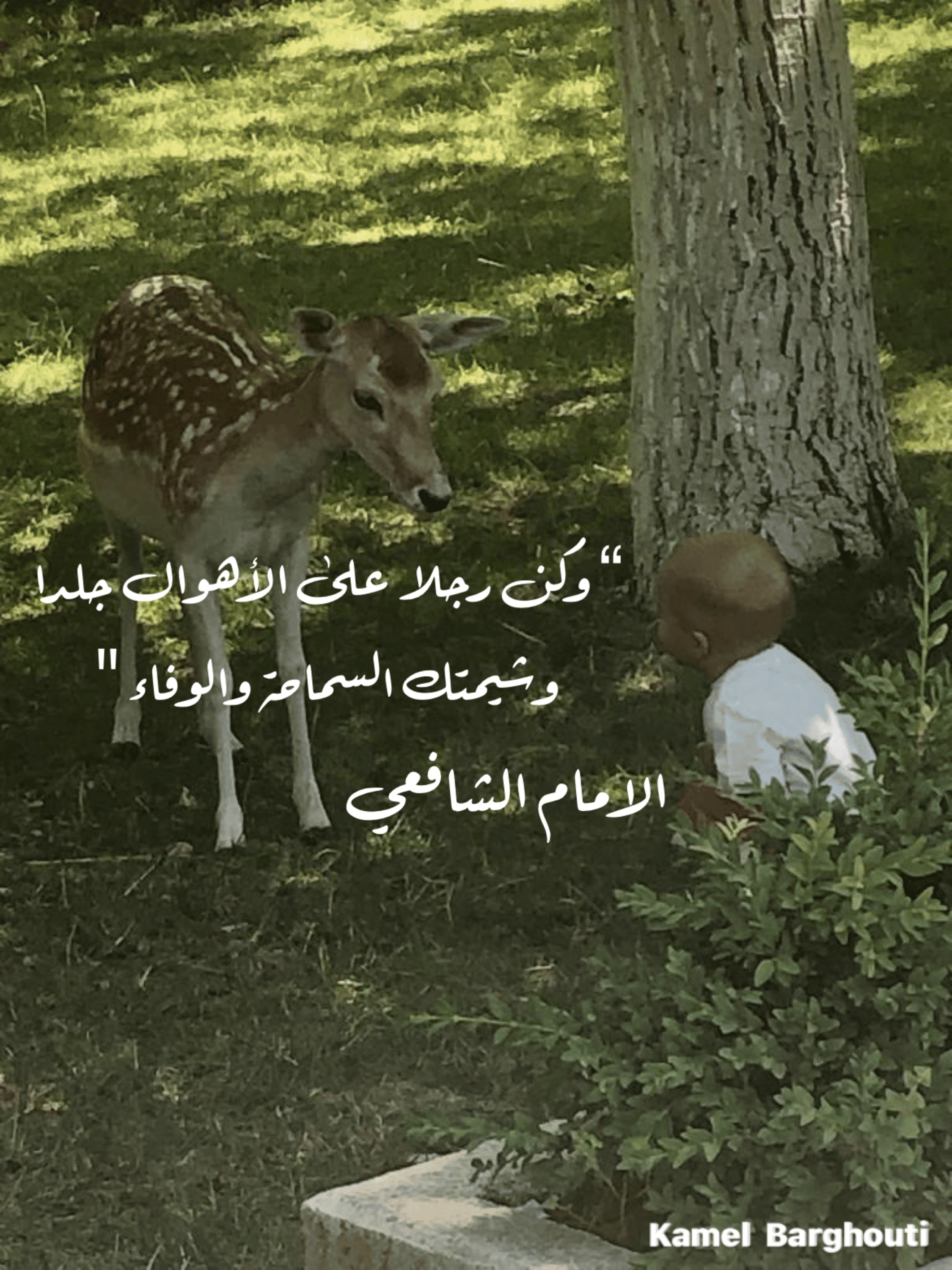 العزيمة والإصرار والثقة بالنفس – اقتباس 189