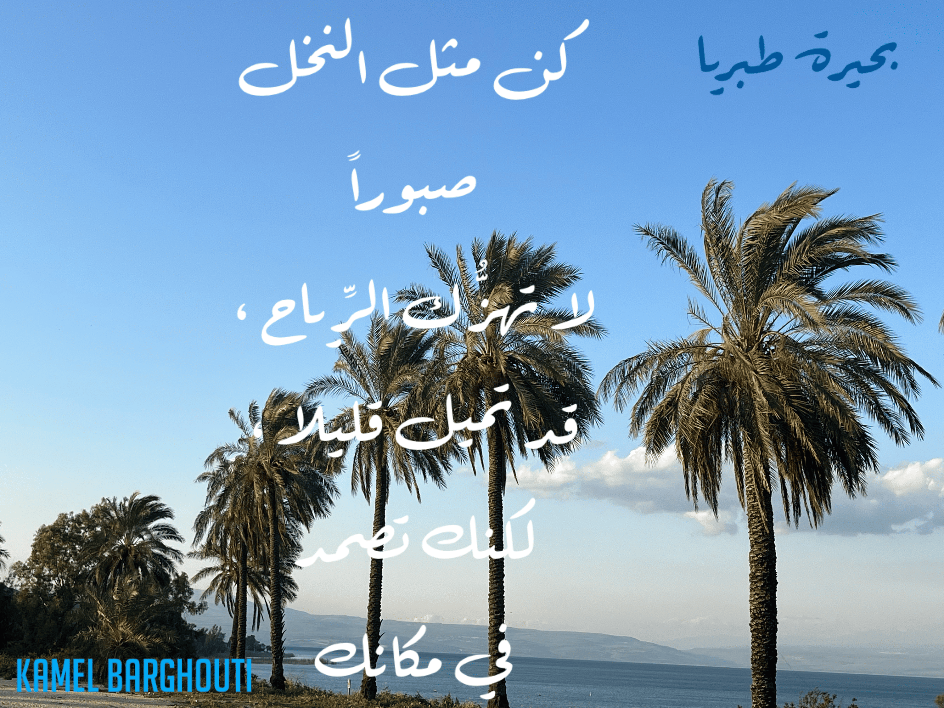 العزيمة والإصرار والثقة بالنفس – اقتباس 171