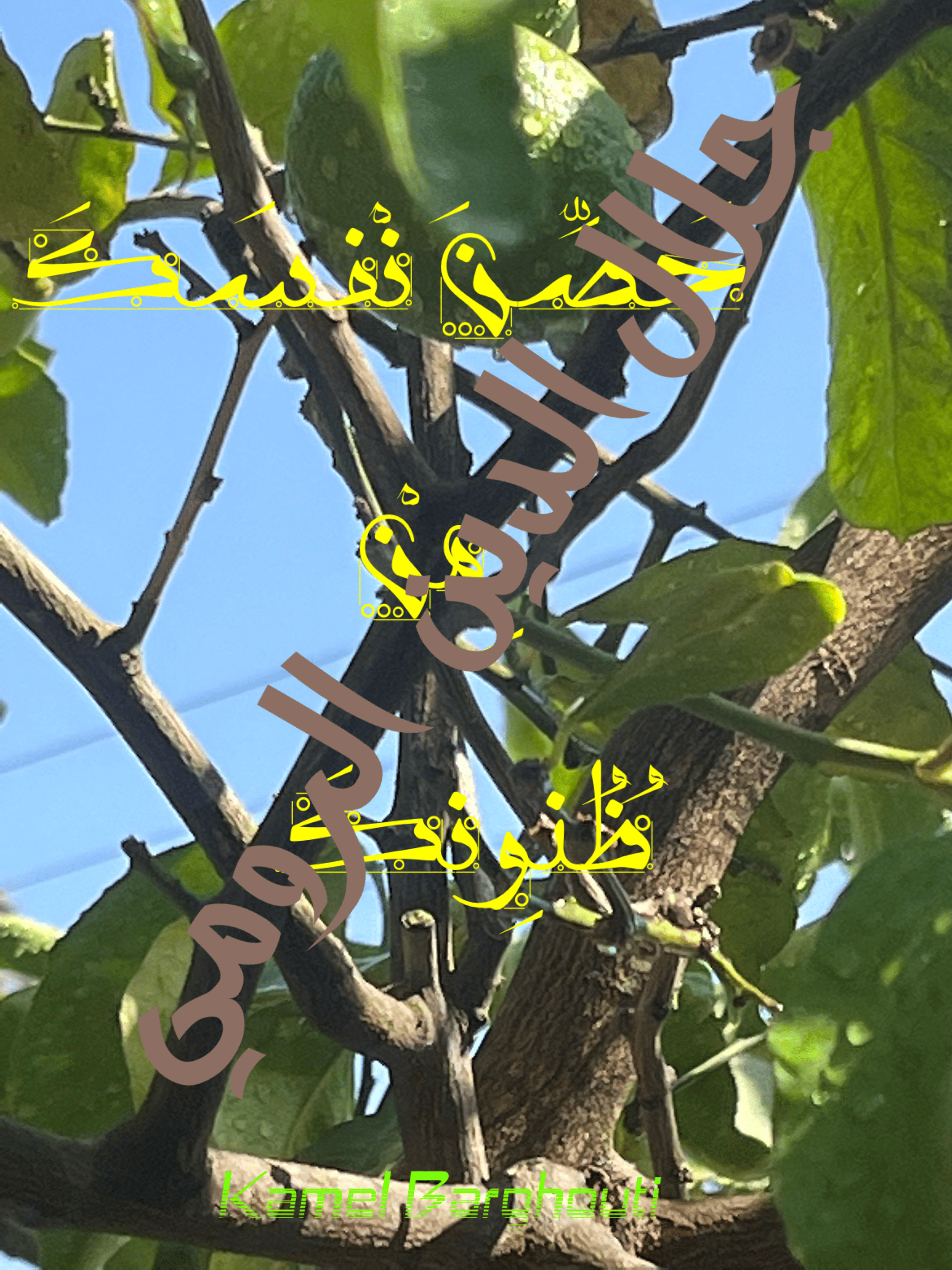 العزيمة والإصرار والثقة بالنفس – اقتباس 170