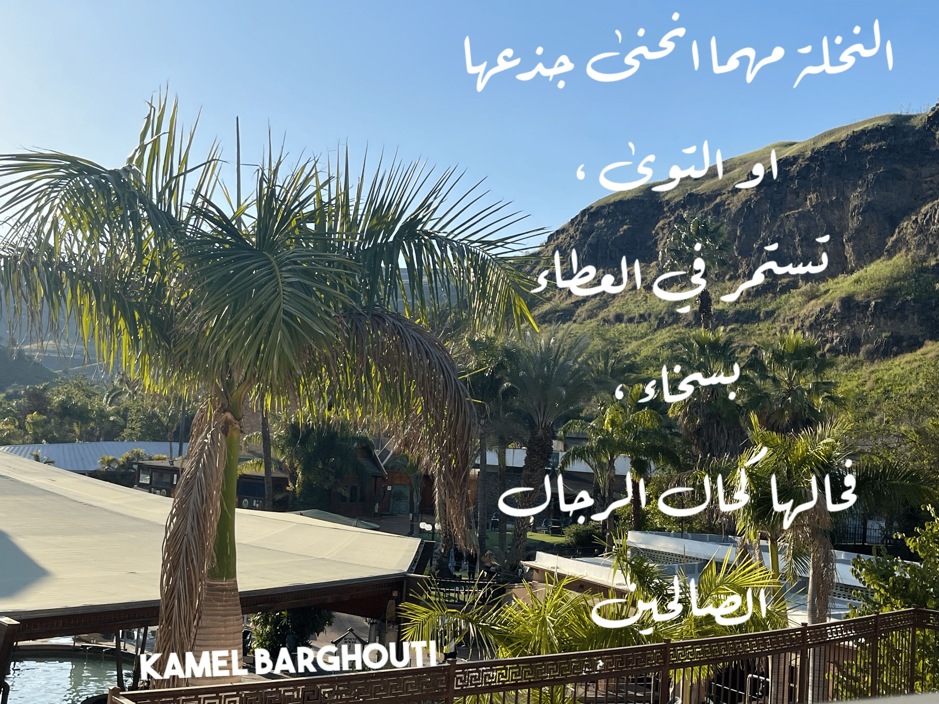 العزيمة والإصرار والثقة بالنفس – اقتباس 125