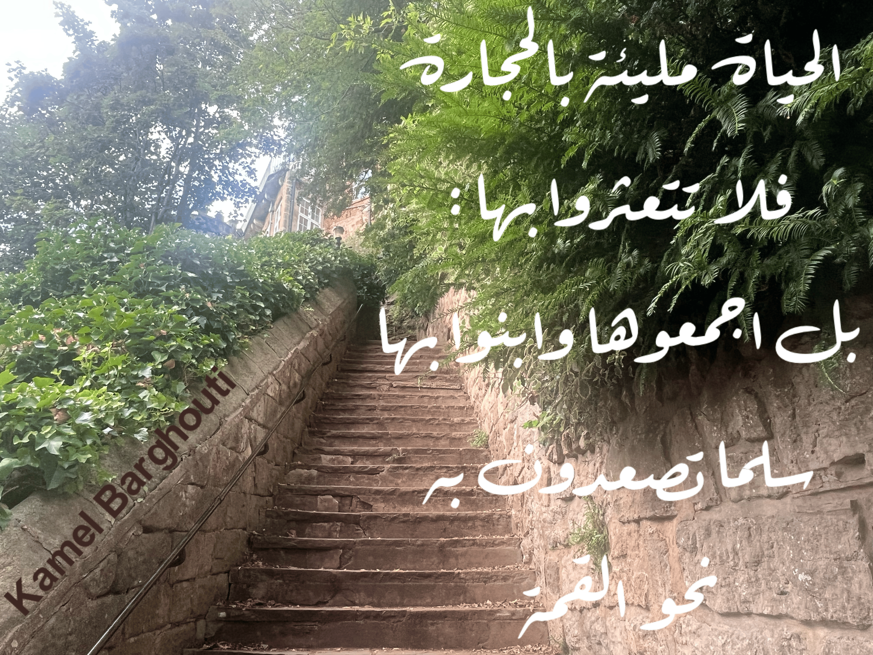 العزيمة والإصرار والثقة بالنفس – اقتباس 120
