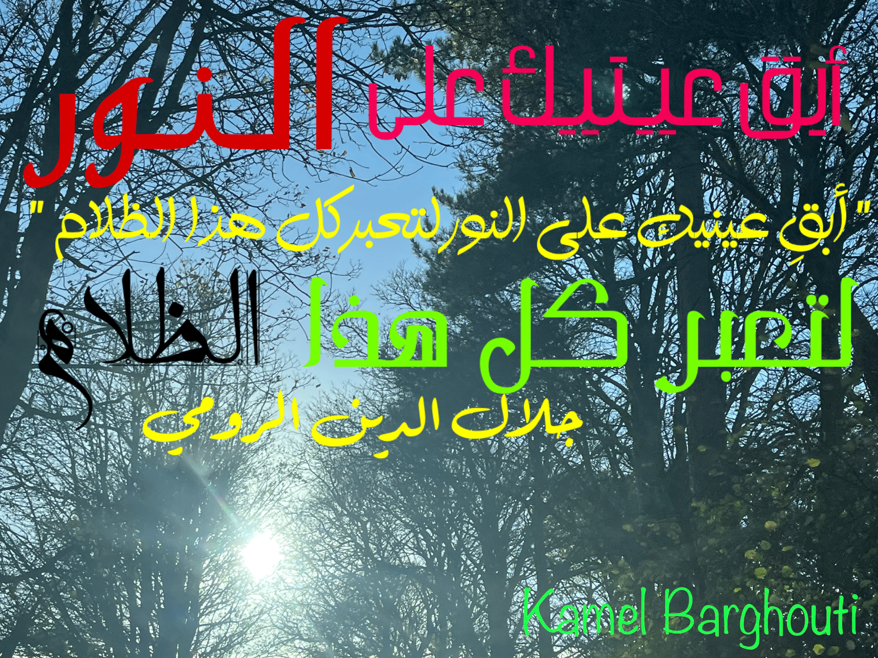 العزيمة والإصرار والثقة بالنفس – اقتباس 118
