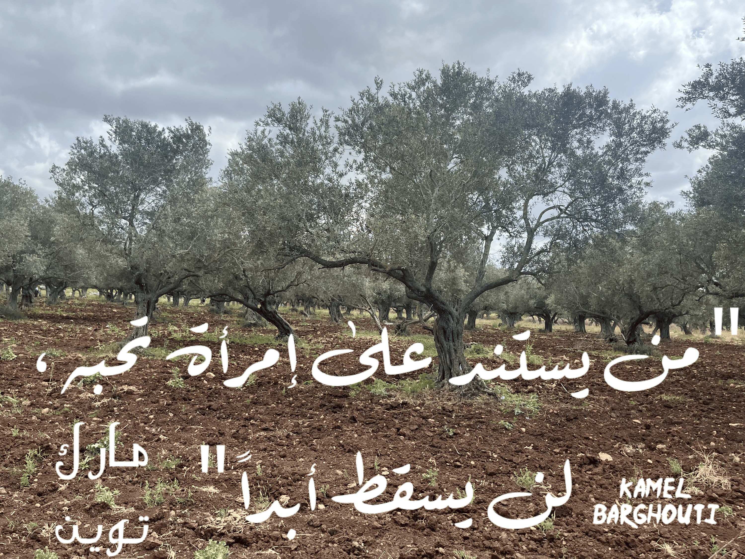 العزيمة والإصرار والثقة بالنفس – اقتباس 117