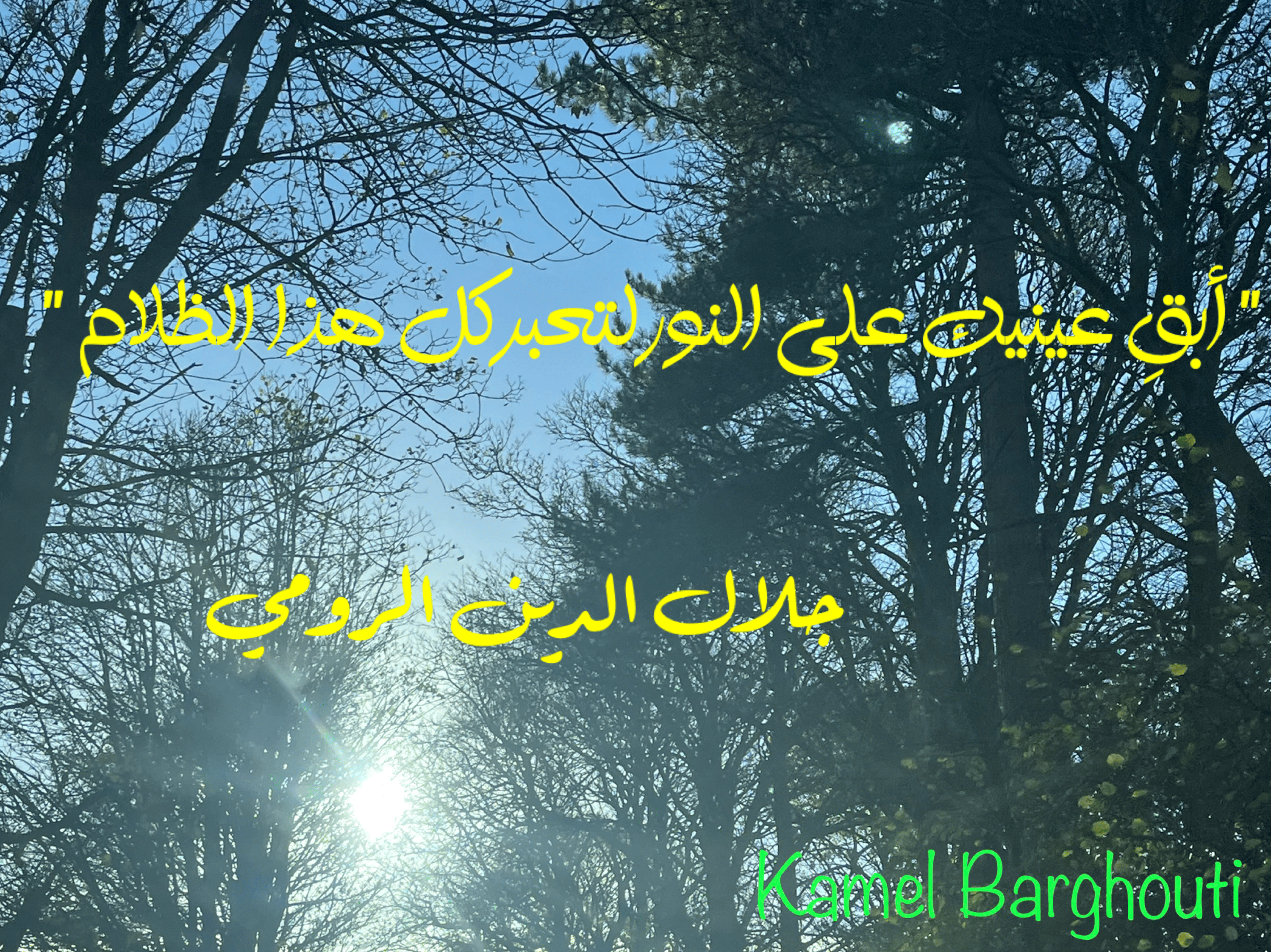 العزيمة والإصرار والثقة بالنفس – اقتباس 114