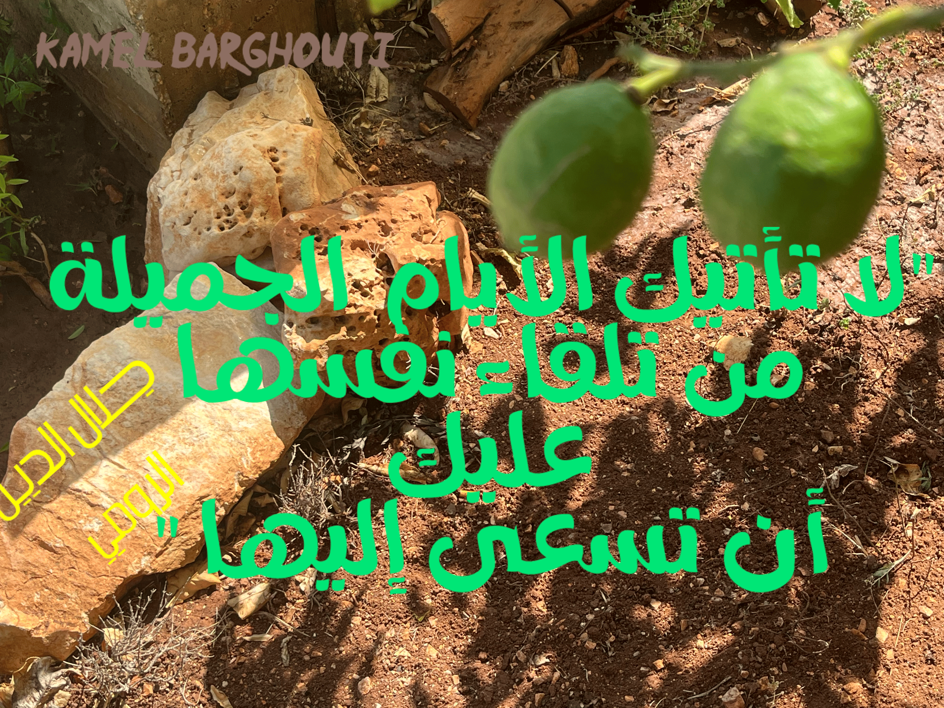 العزيمة والإصرار والثقة بالنفس – اقتباس 113