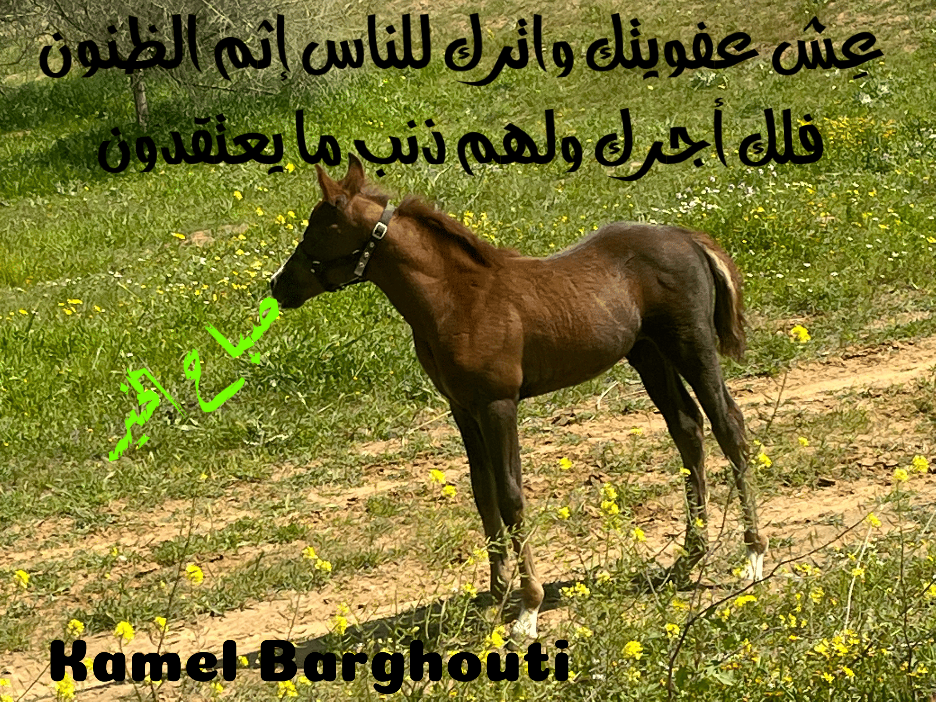 العزيمة والإصرار والثقة بالنفس – اقتباس 108