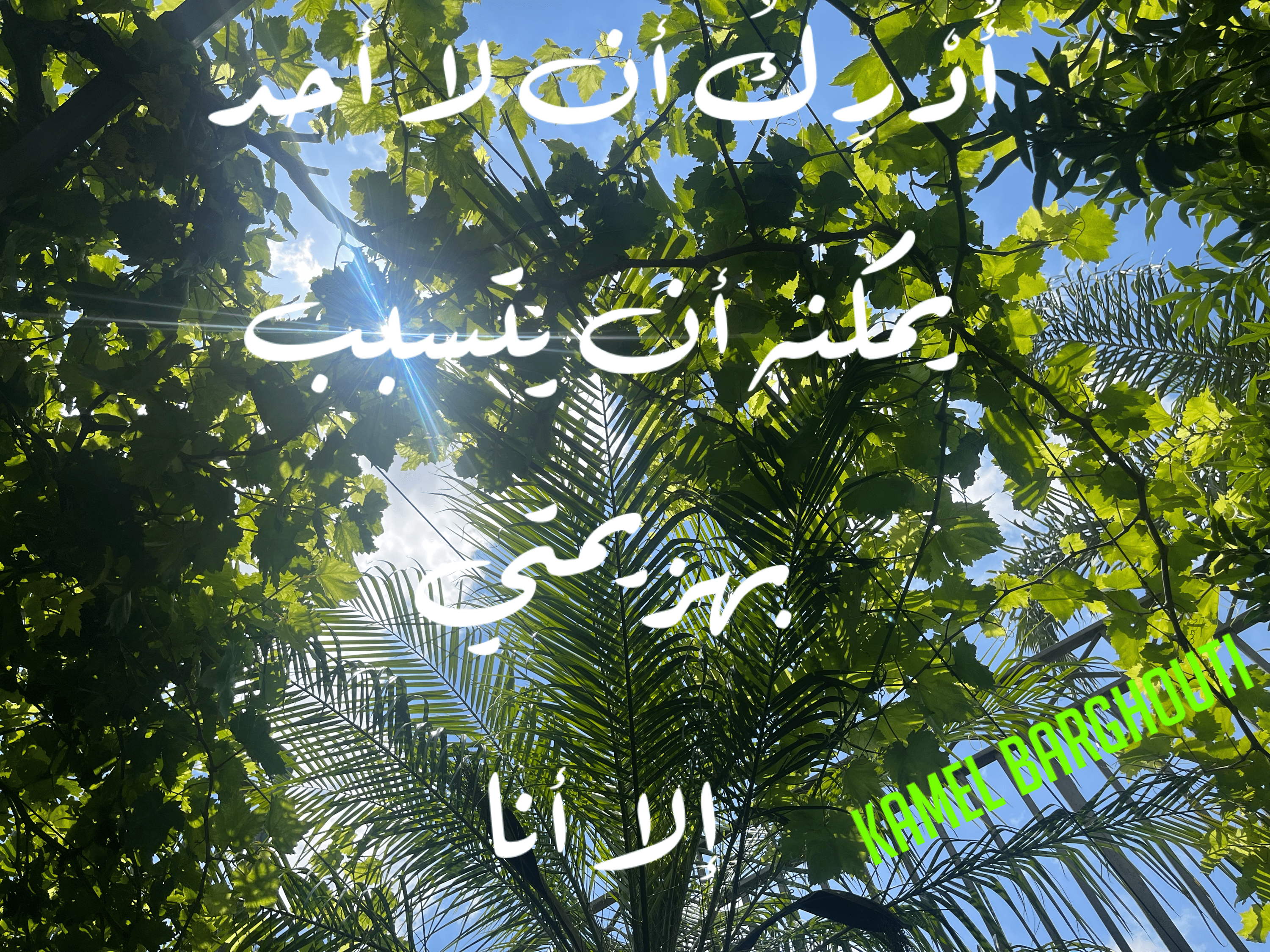 العزيمة والإصرار والثقة بالنفس – اقتباس 107