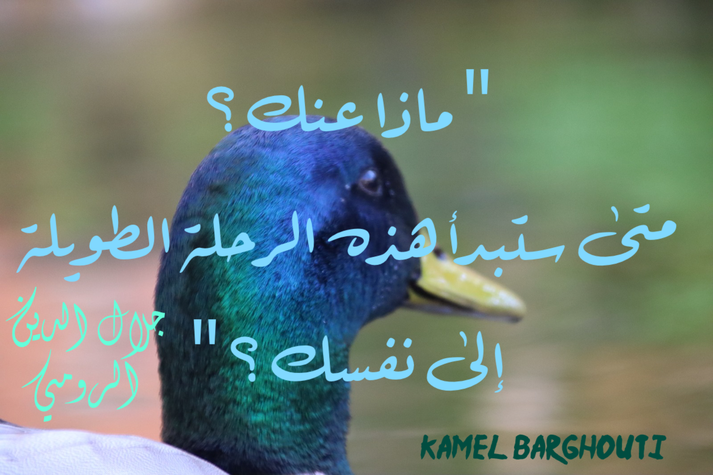 العزيمة والإصرار والثقة بالنفس – اقتباس 105